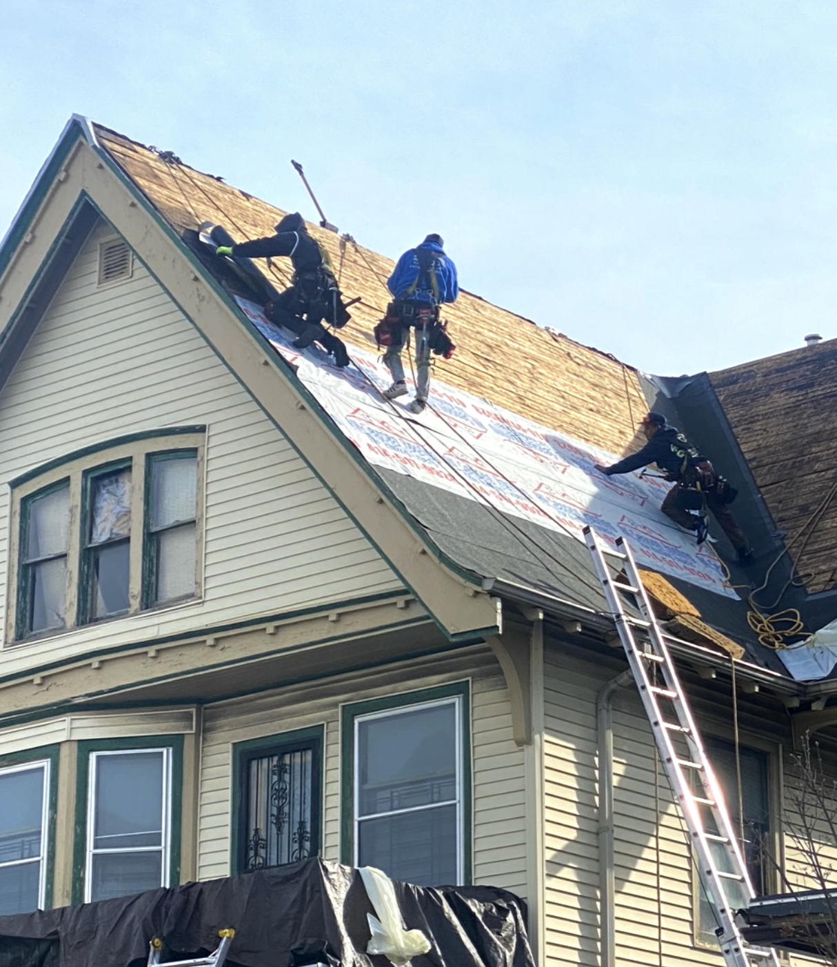 Ms. Nash’s Roof of Resilience 