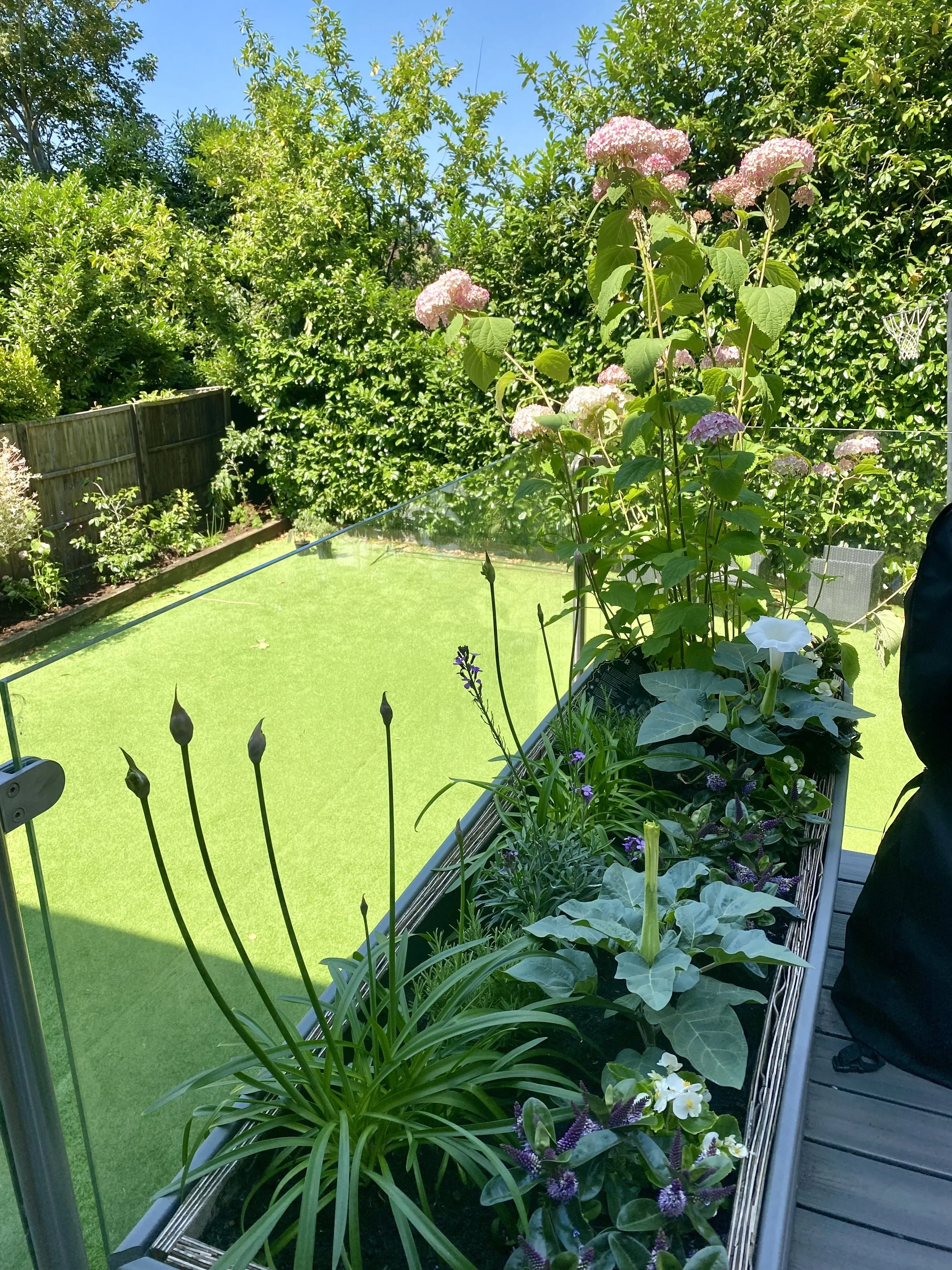 party-planting9.jpeg