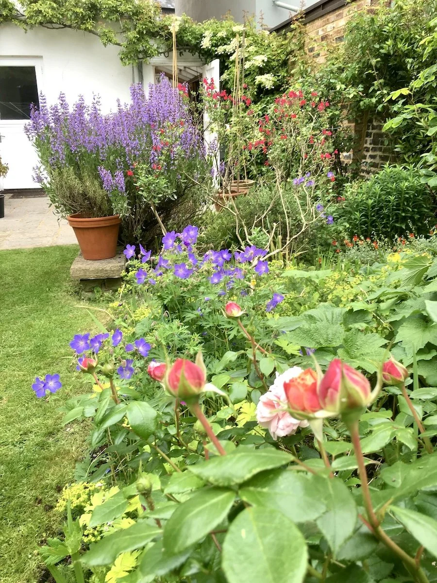 walled-garden6.jpeg