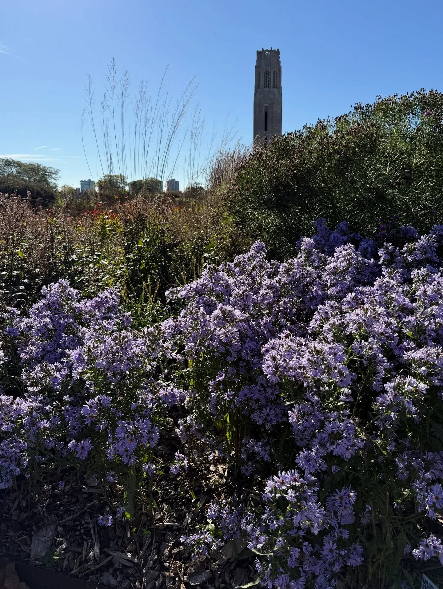 A heartfelt thank you to the incredible team at Oudolf Garden Detroit for such a thoughtful and inspiring tour today. Walking through this beautifully designed space on Belle Isle was truly a gift &mdash; every plant swayed with intention and care.

