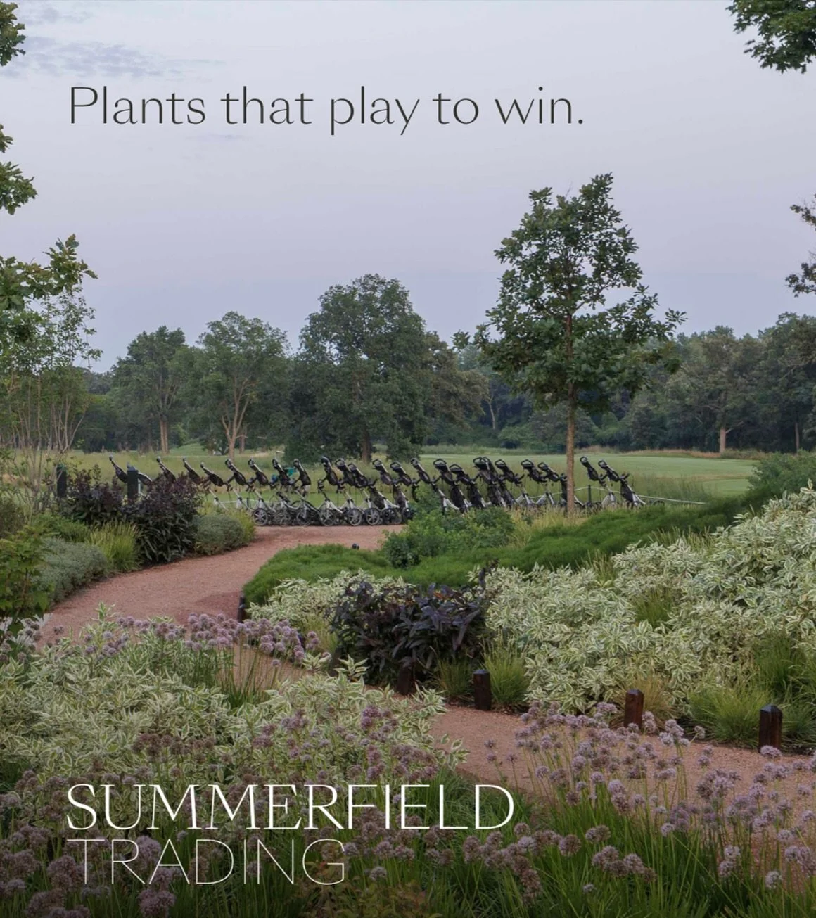 In an industry where precision and presentation are everything, golf course professionals trust Summerfield Trading as a reliable procurement partner.

From sourcing to delivery, we manage every detail with precision and care to ensure a seamless, hi