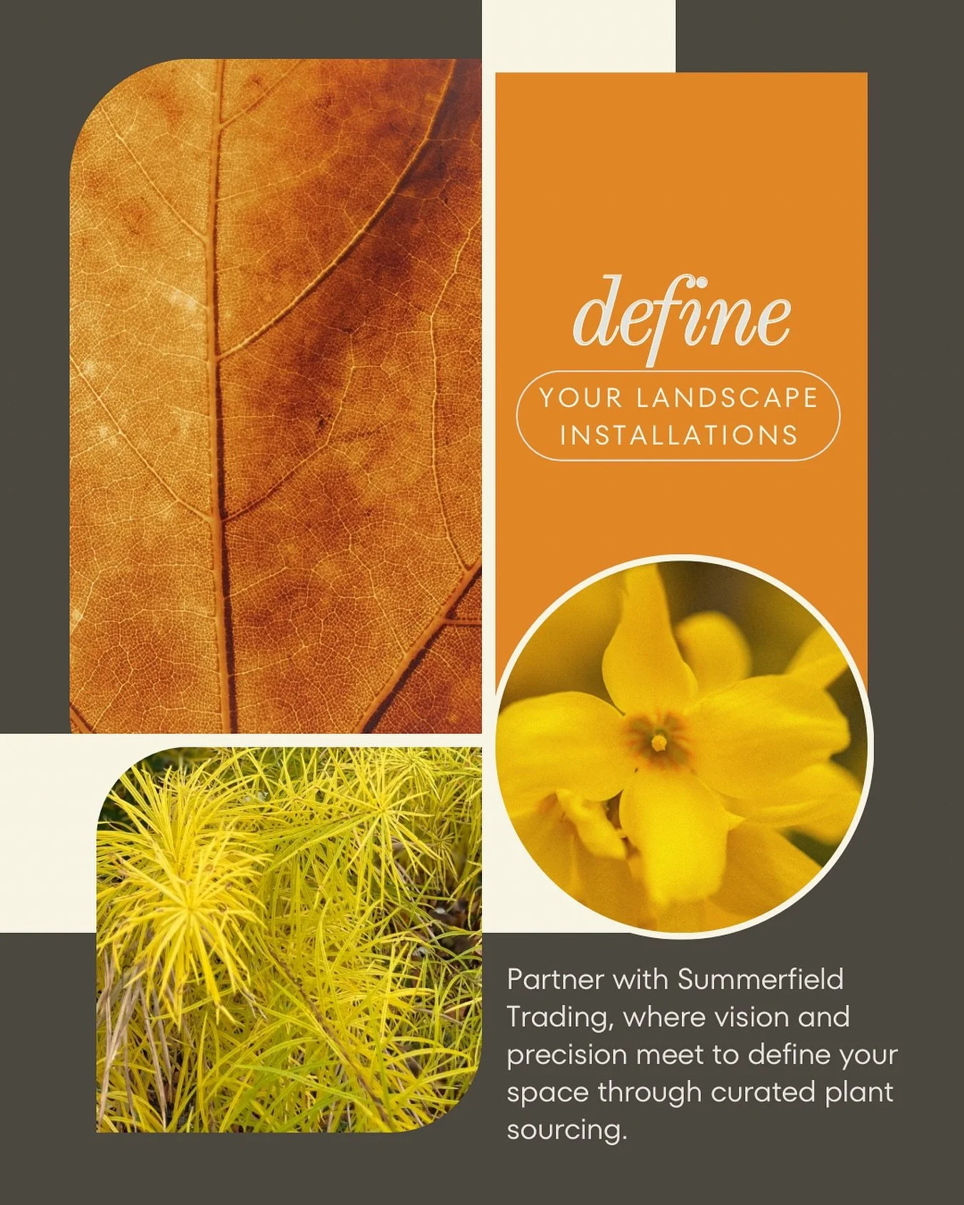 Every landscape tells a story. Ours begins with understanding your vision - then sourcing and selecting materials that bring balance, texture, and distinction to your project. 

Define your space. Grow with Summerfield Trading.

#summerfieldtrading #