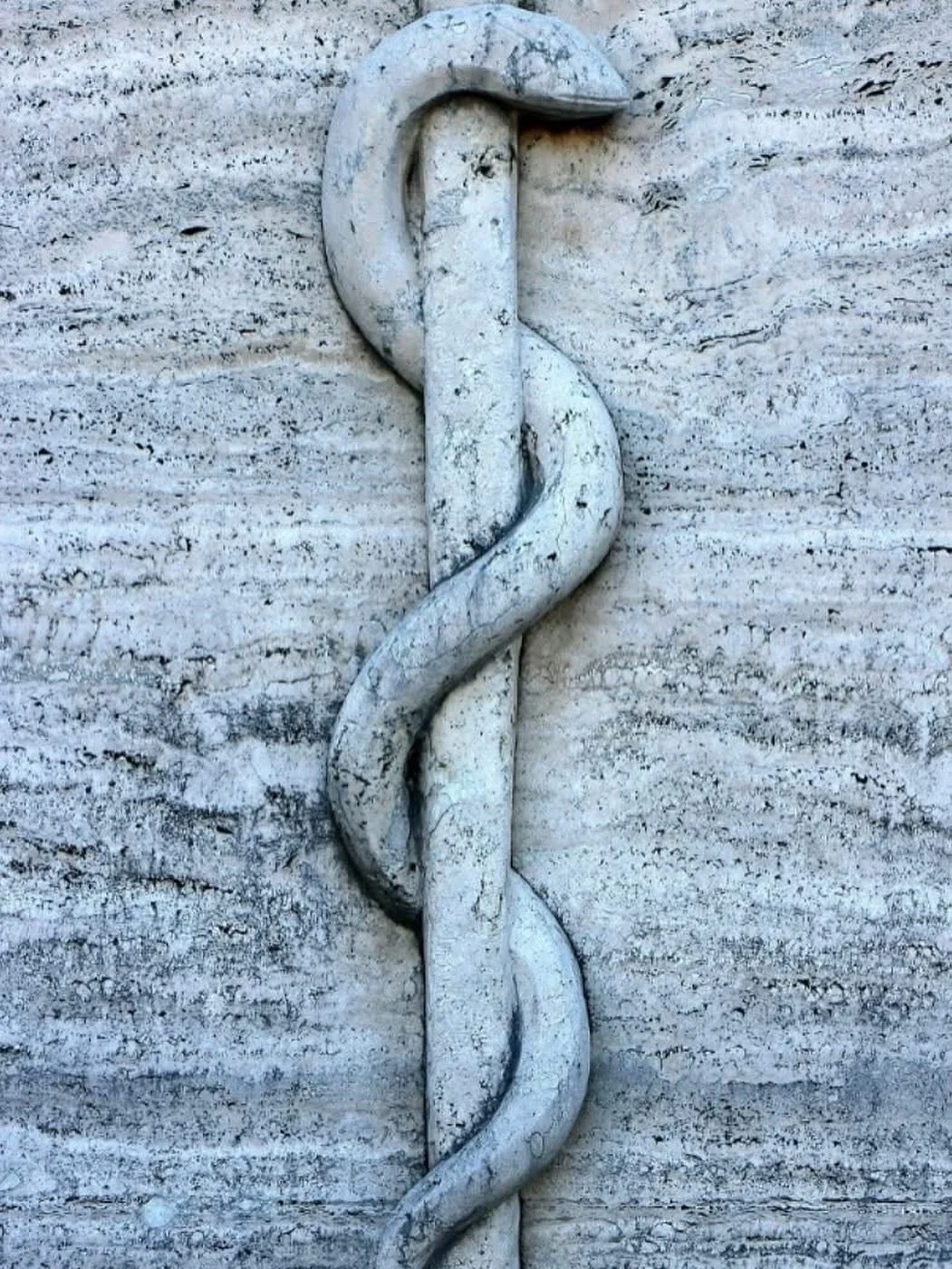 @facultyofhomeopathy 
For thousands of years, the serpent has wound itself through the history of medicine.

From Ancient Greece comes the Rod of Asclepius, a single serpent entwined around a staff. Asclepius, the god of medicine, was said to heal a 