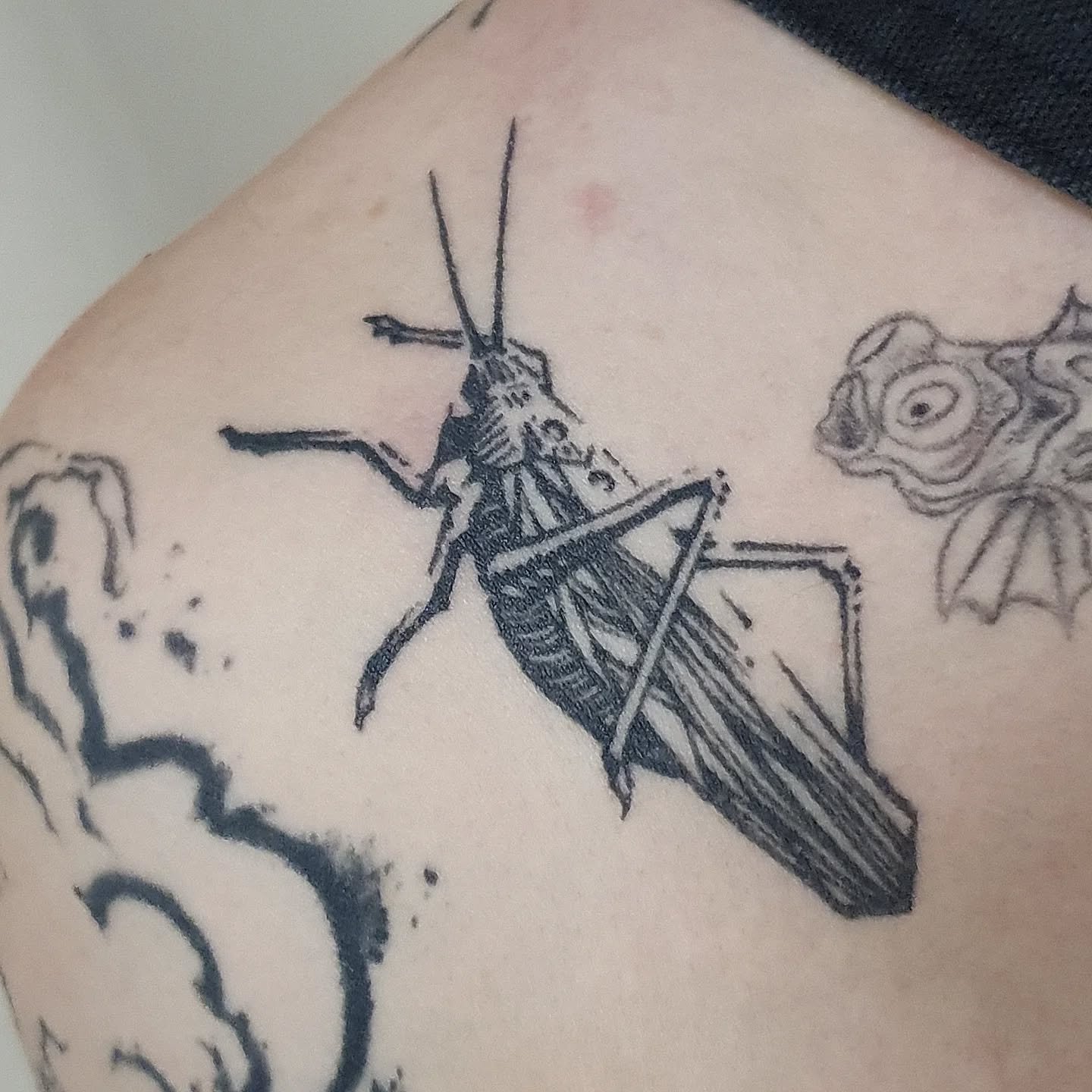 Cicatris&eacute; ✨️

#tatouage #tatouages #tatouagesnoirblanc  #tattoo #tattoos #blacktattoo #blacktattoos #encre #ink #blackink #blackart #onlyblackart #blackwork #blackworkersubmission #encr&eacute;s #swisstattoo #lagribouilletattoo #geneva #geneve