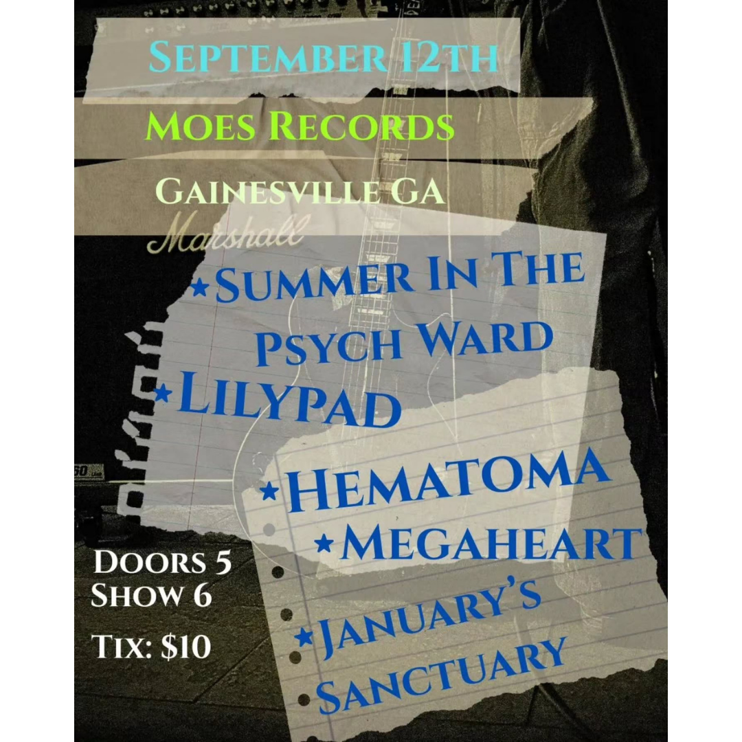 Summer in the Psych Ward, Lilypad, Hematoma, Megaheart, & January's Sanctuary LIVE at Moe's Record Shop