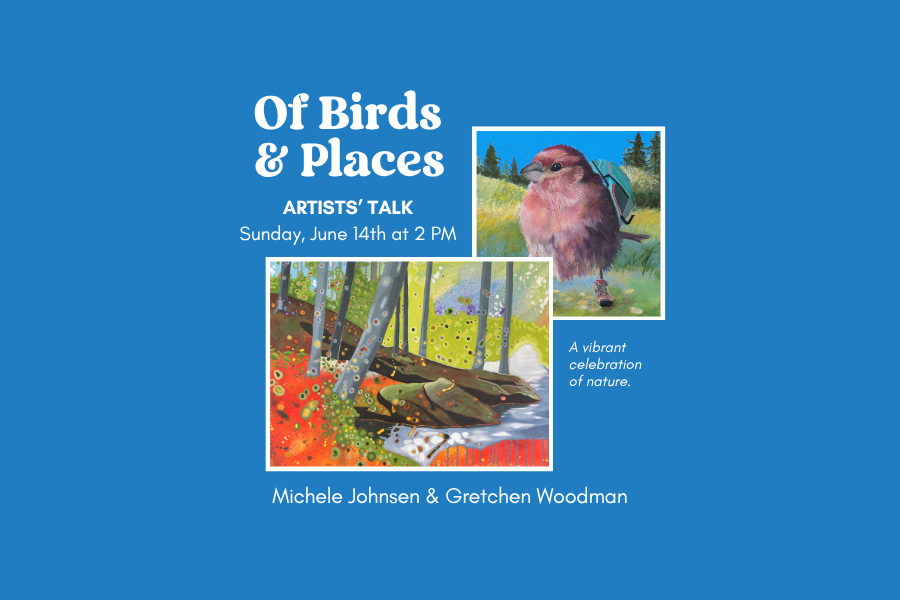 Artist talk: Of Birds &amp; Places