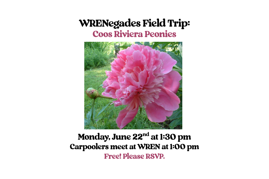 WRENegades Field Trip: Coos Riviera Peonies