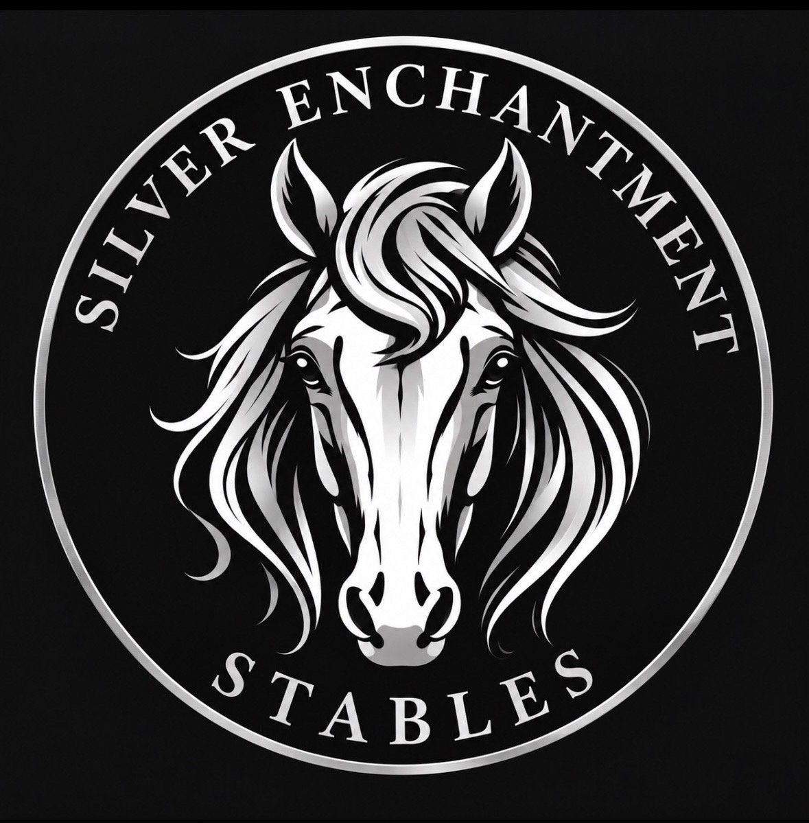 Silver Enchantment Stables LLC