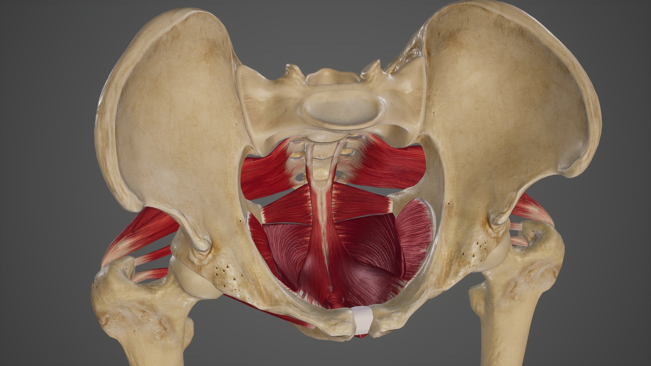 How Pelvic Floor Therapy Prepares You for an Easier Birth