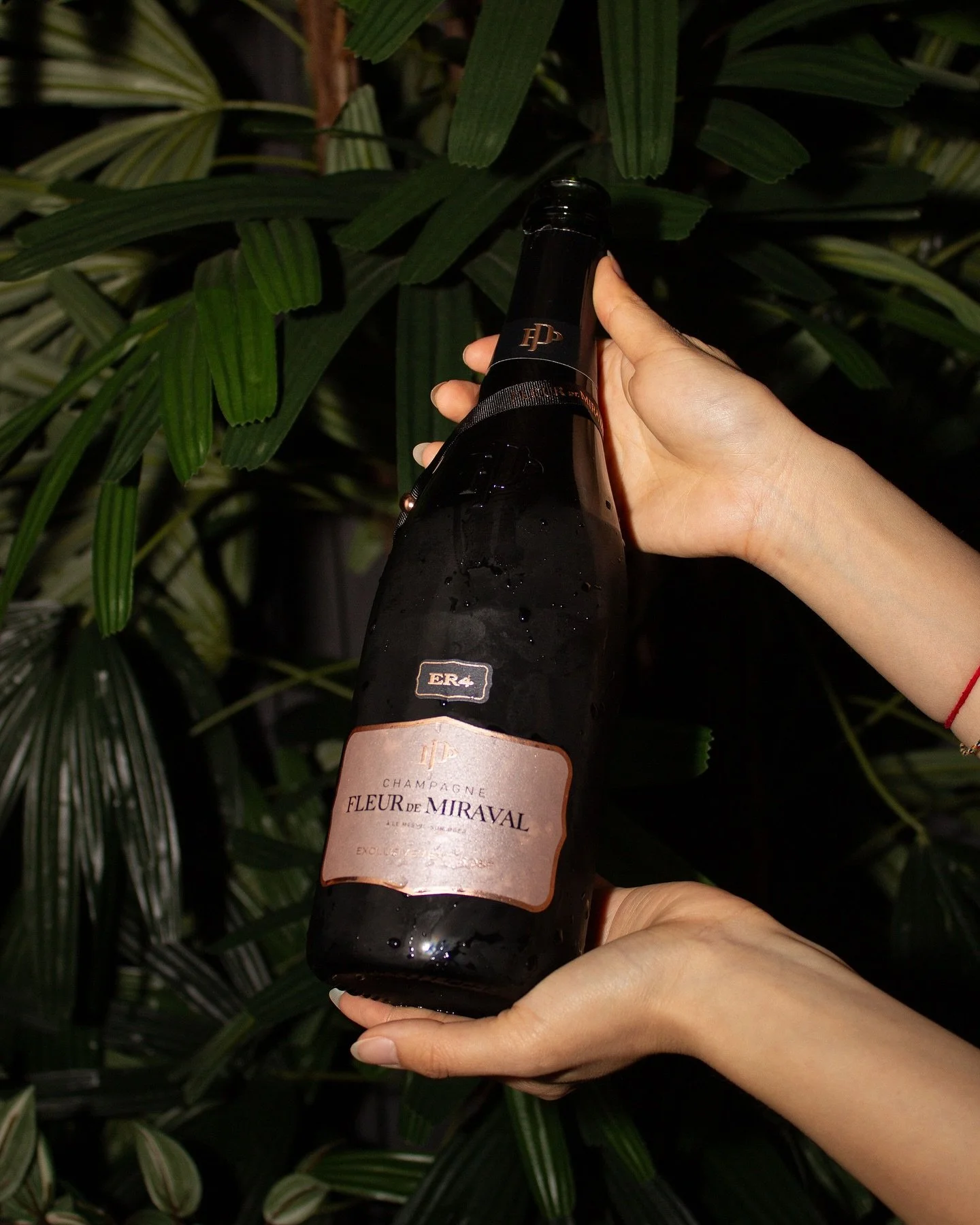 FLEUR DE MIRAVAL ER4
_____
*Producer: 
A collaboration between 3 &ldquo;Ps&rdquo; : Pitt &amp;  Perrin &amp; Peters. The Perrin family is an elite producer of Chateauneuf de Pape and Rodolphe Peters of Pierre Peters is perhaps one of the finest growe