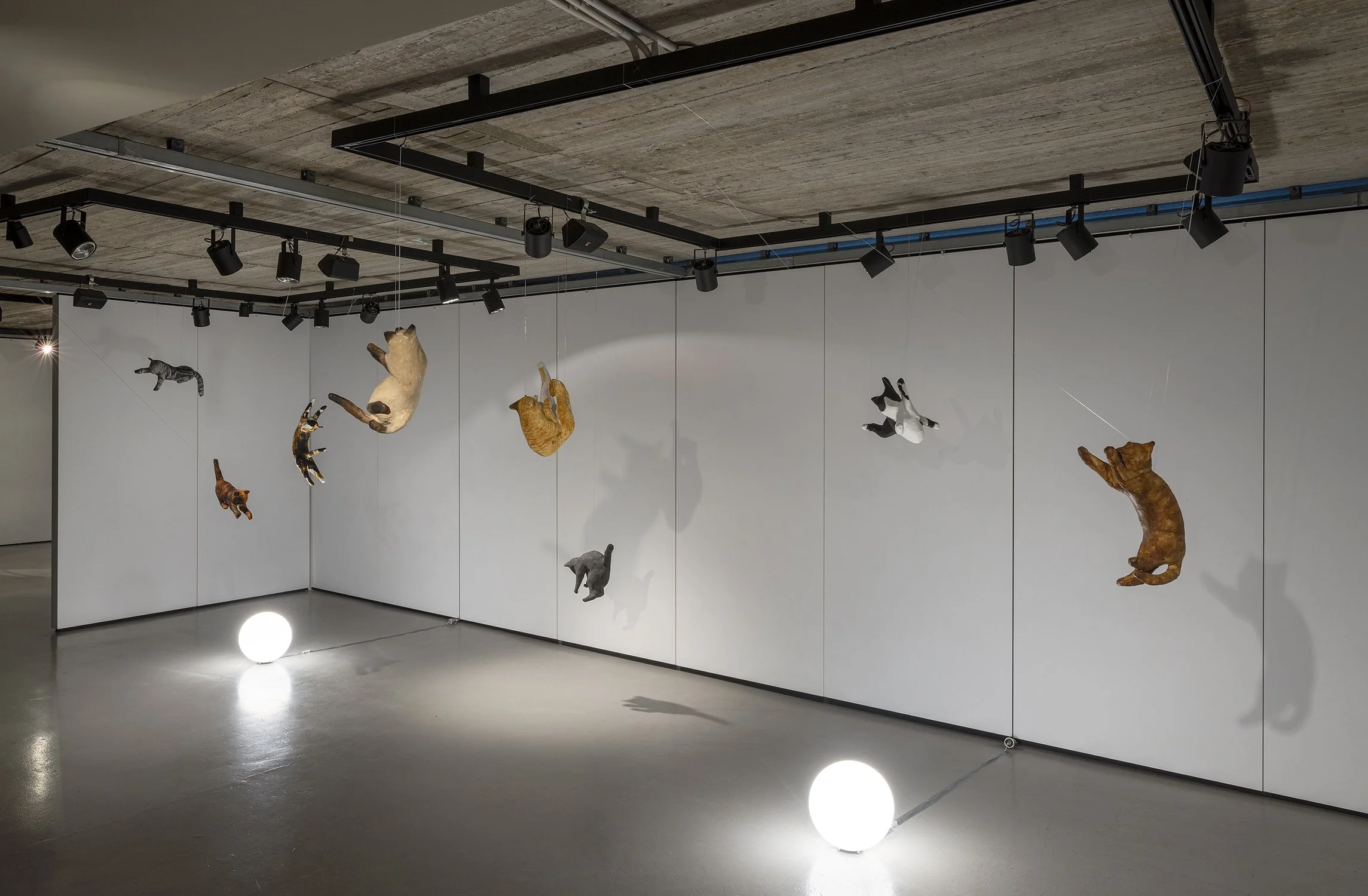 _PKP0226 lighter.jpg