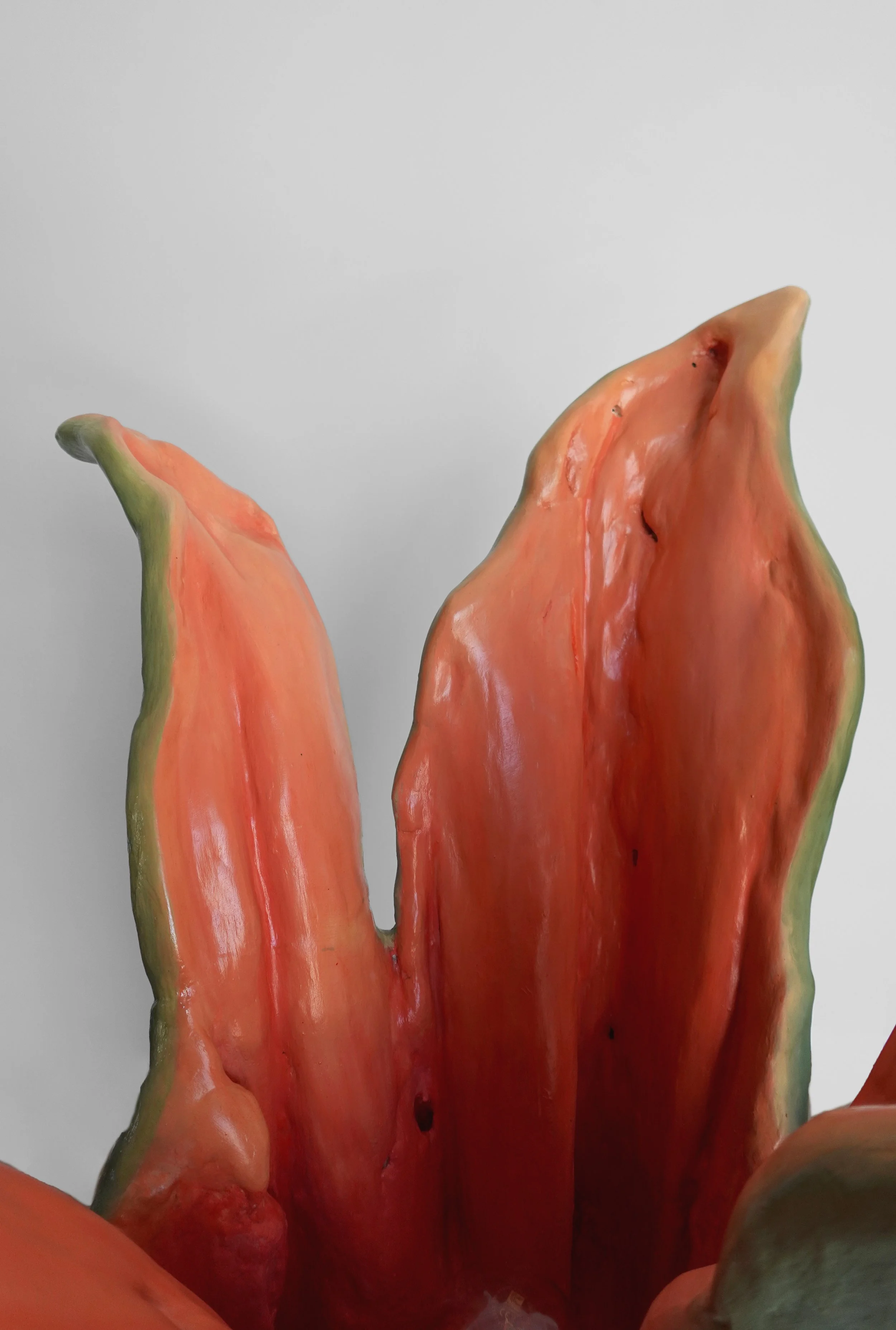 Close-up of a large, sliced watermelon with red flesh and green rind against a plain white background.