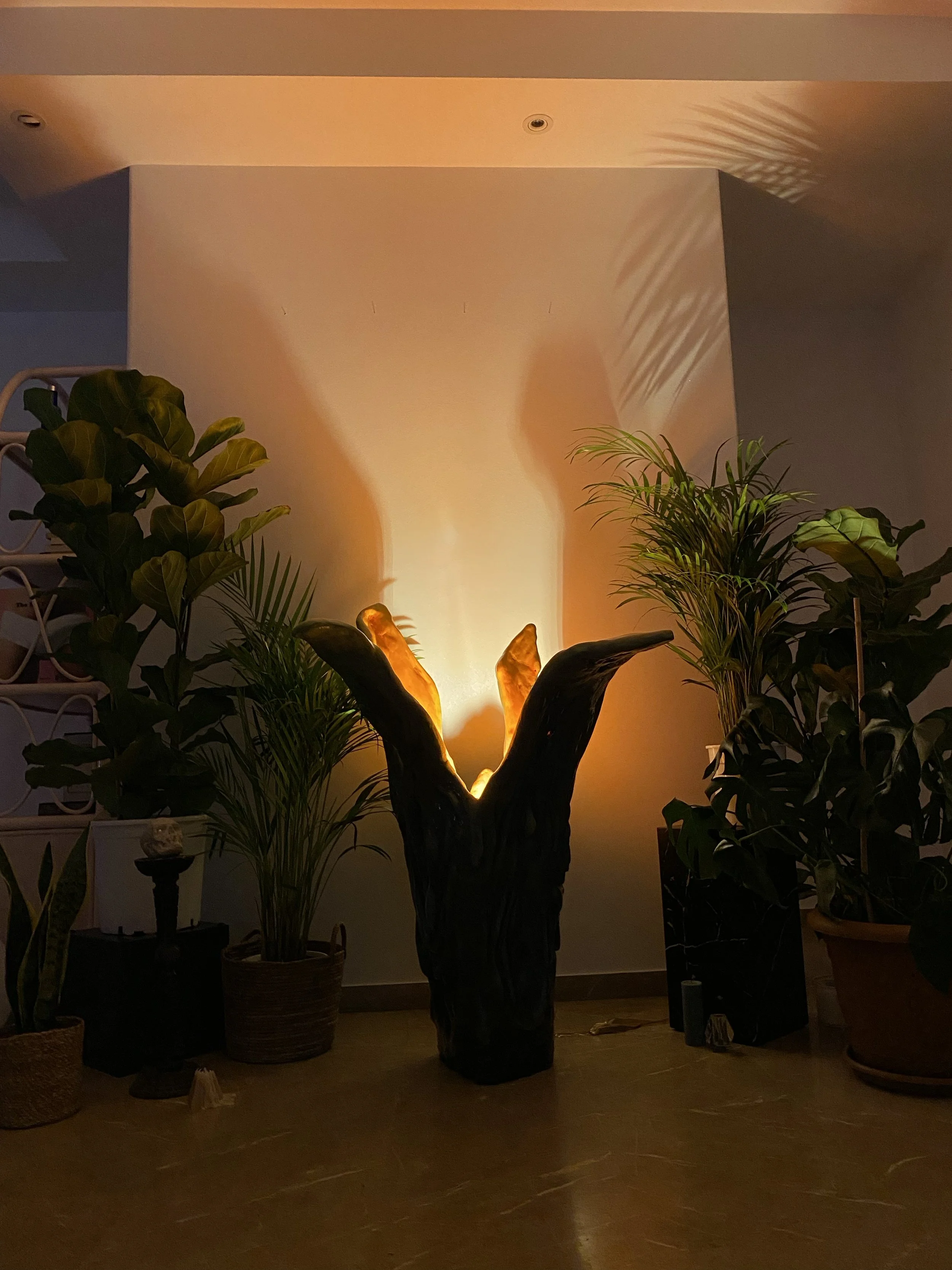 A dark sculpture resembling a bird with outstretched wings, illuminated from behind, casting shadow patterns on the wall. Surrounded by potted plants in a cozy indoor space.