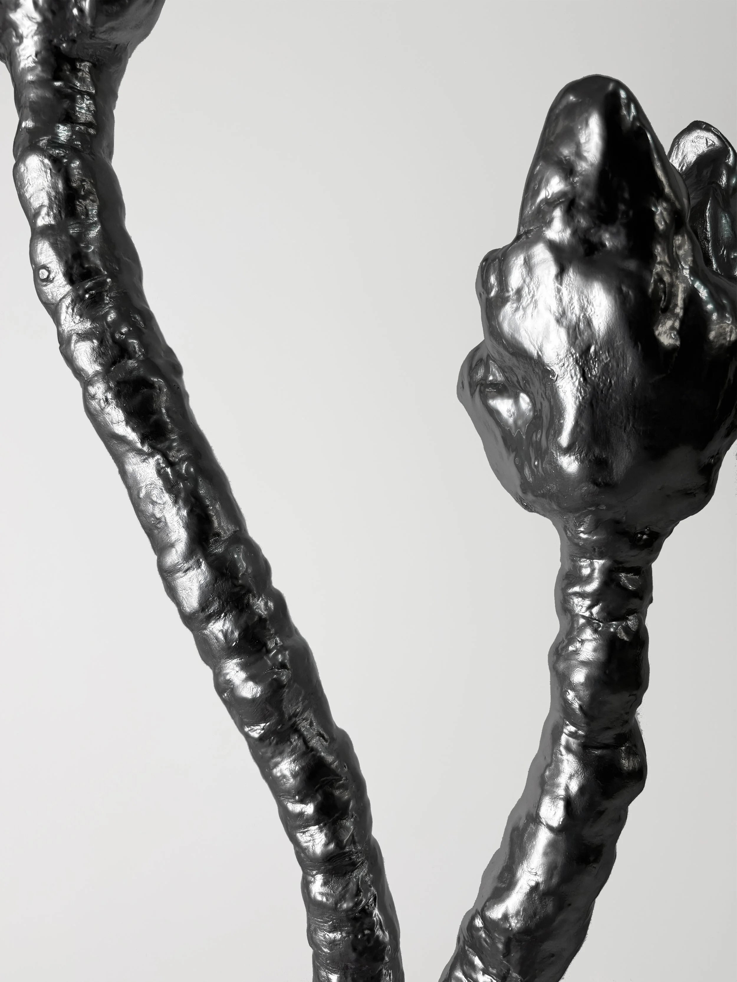Close-up of a black, glossy, abstract sculpture with twisting, irregular shapes against a plain white background.