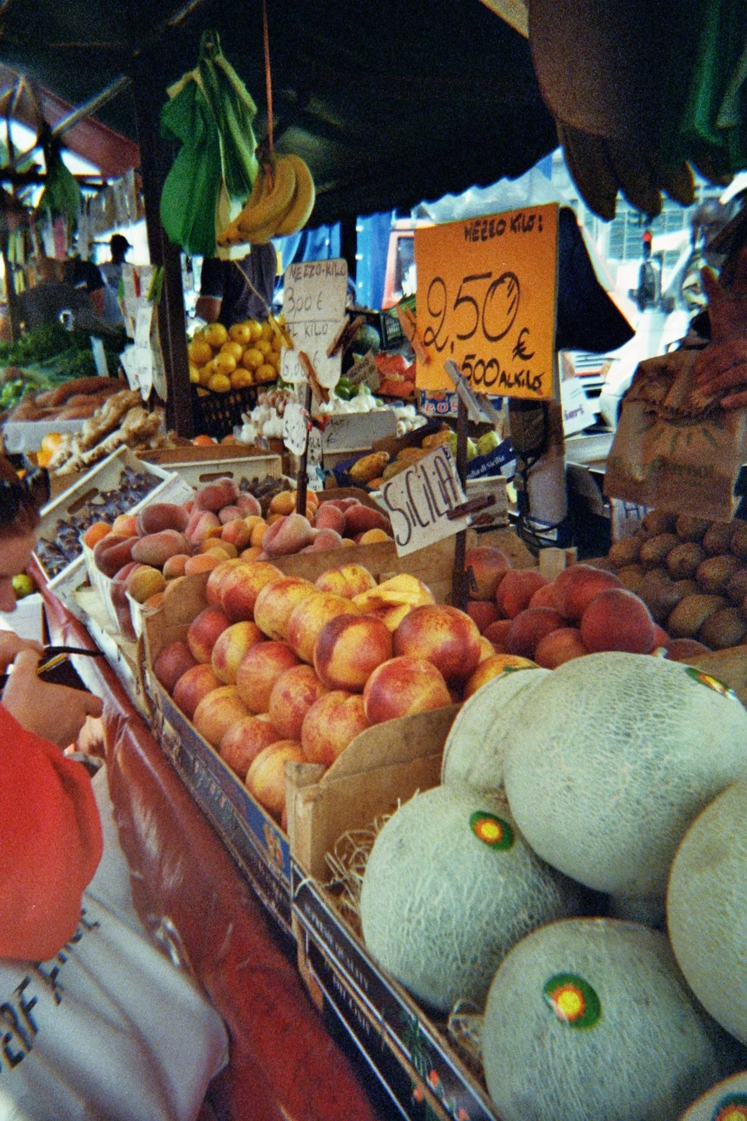 imm011_15 (2).jpg
