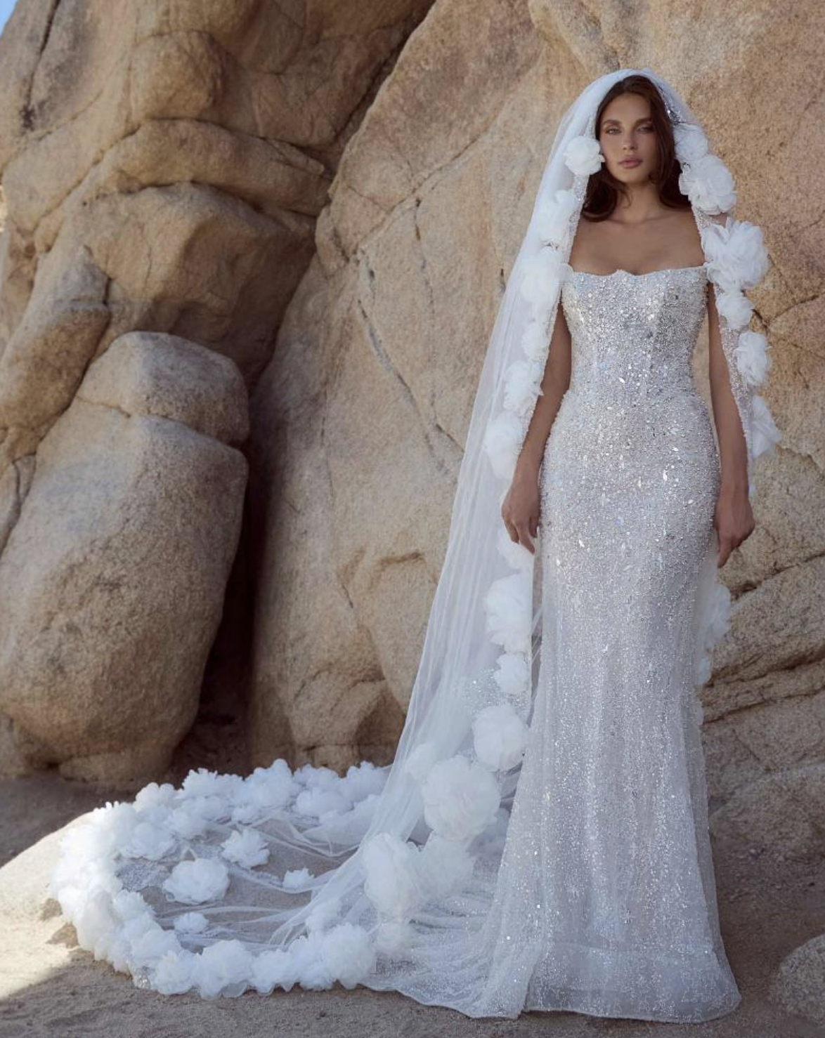 Screenshot 2026-01-08 at 10.49.01 AM.png