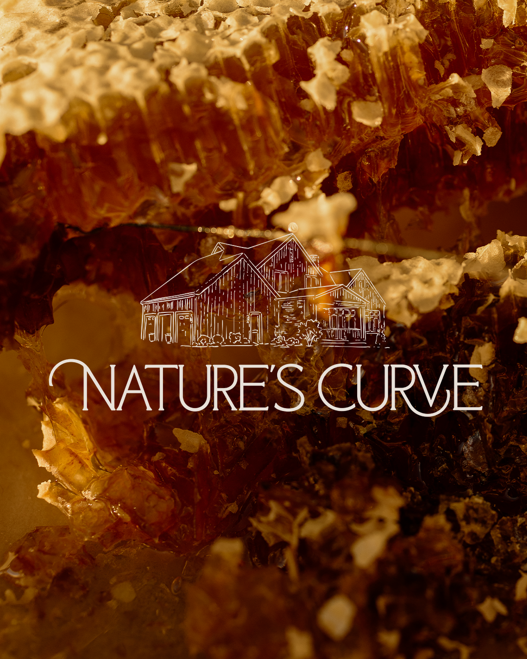 Nature's Curve