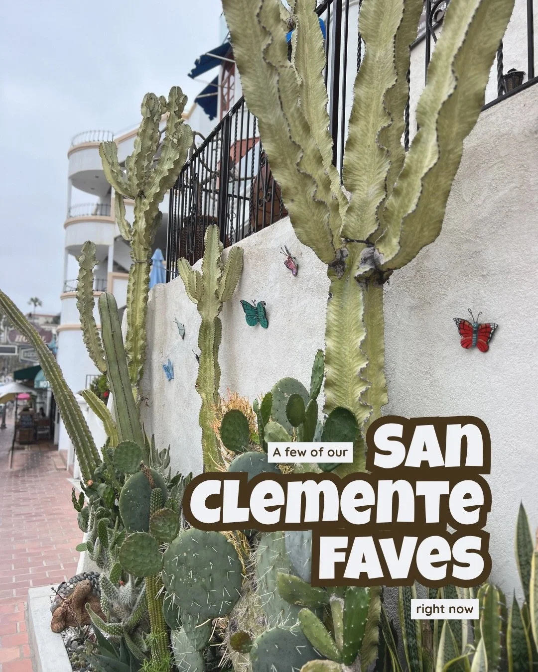 We&rsquo;re all kinds of obsessed with this town, but to kick things off, we picked 5 of our absolute FAVES at the moment. Granted, this list changes weekly, and could go on and on and on and on, but what we&rsquo;re vibing on most RN is:

@happycoff