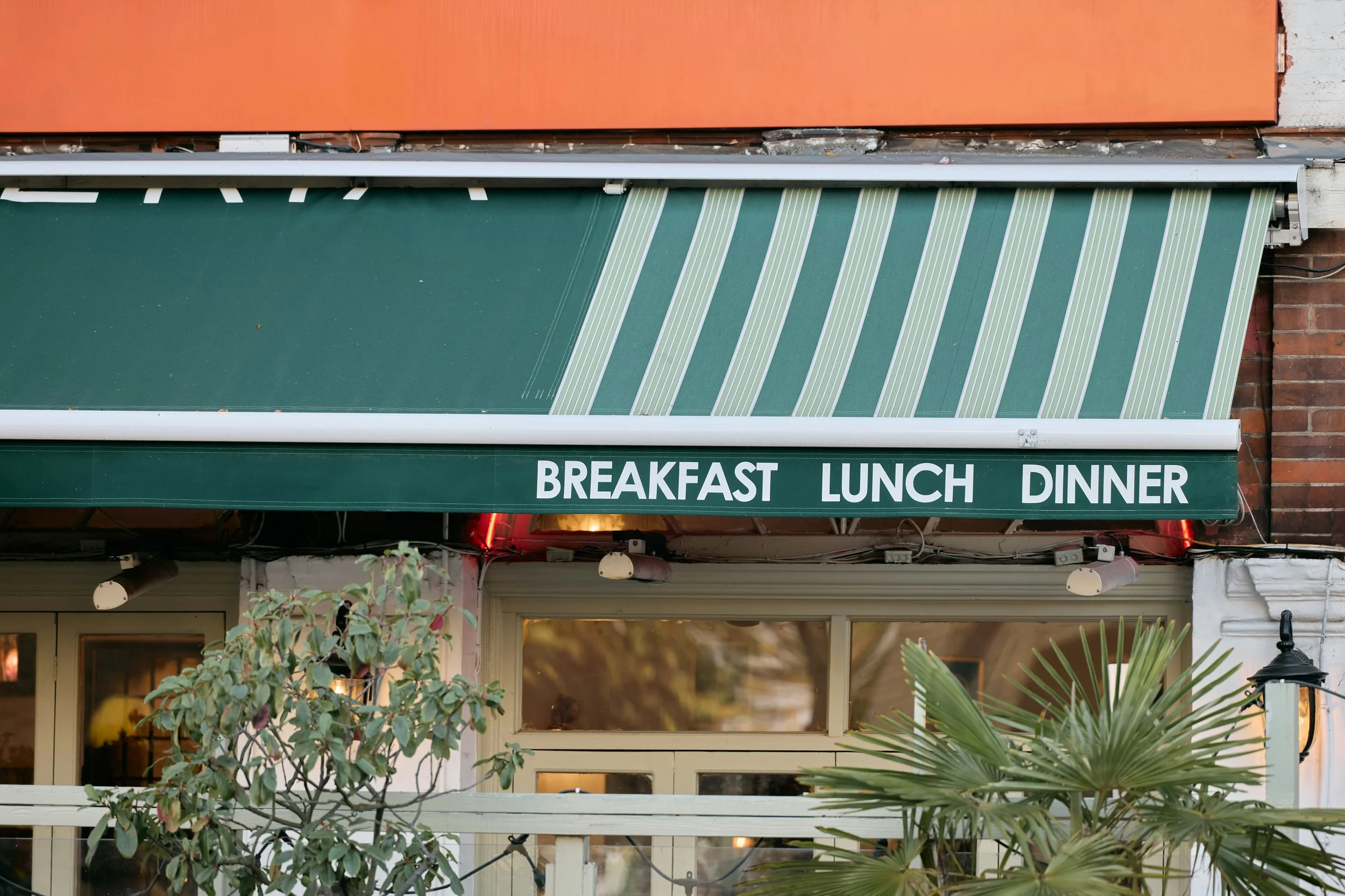San Clemente Insider Newsletter | Diner in San Clemente