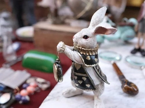 Follow The White Rabbit