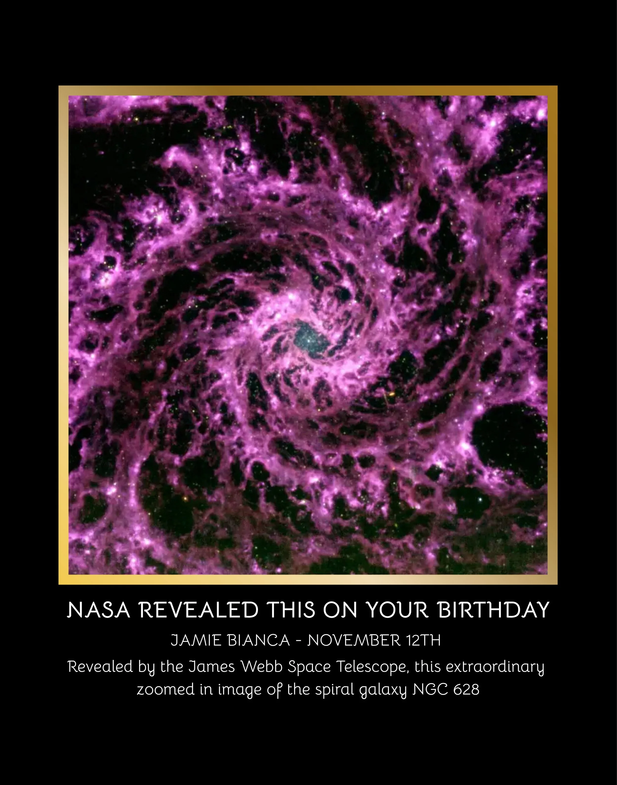 Copy of BDAY_REC_BLK_NASA (11 x 14 in).jpg