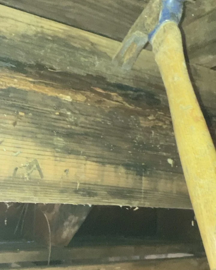 Is your deck falling apart? Rotten? We may be able to help you out. Deck repair. 🔨 🔨