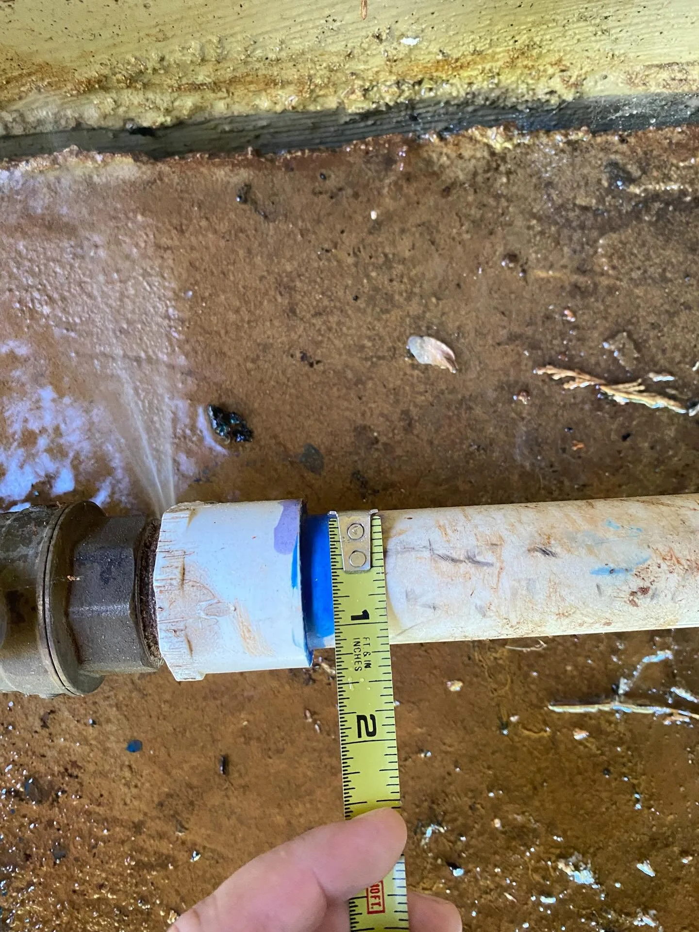 Did your wiener dog try to murder your shutoff valve for your well? We can fix that too.