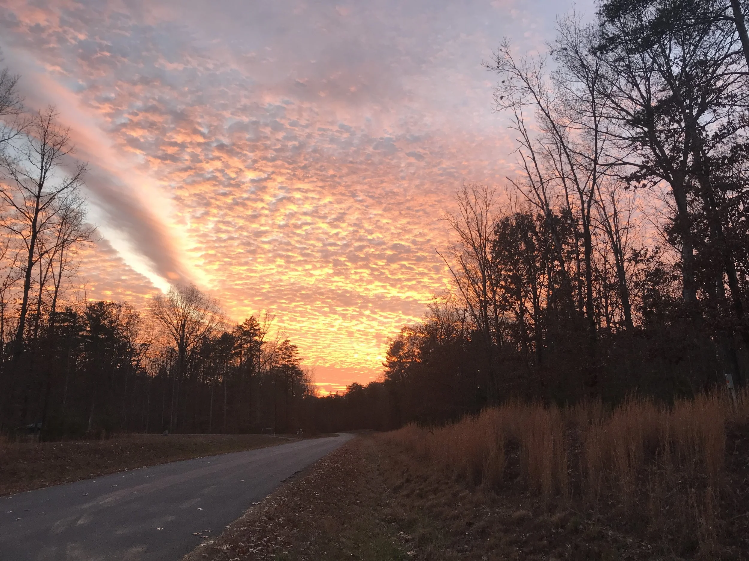 Beautiful sunset in VA