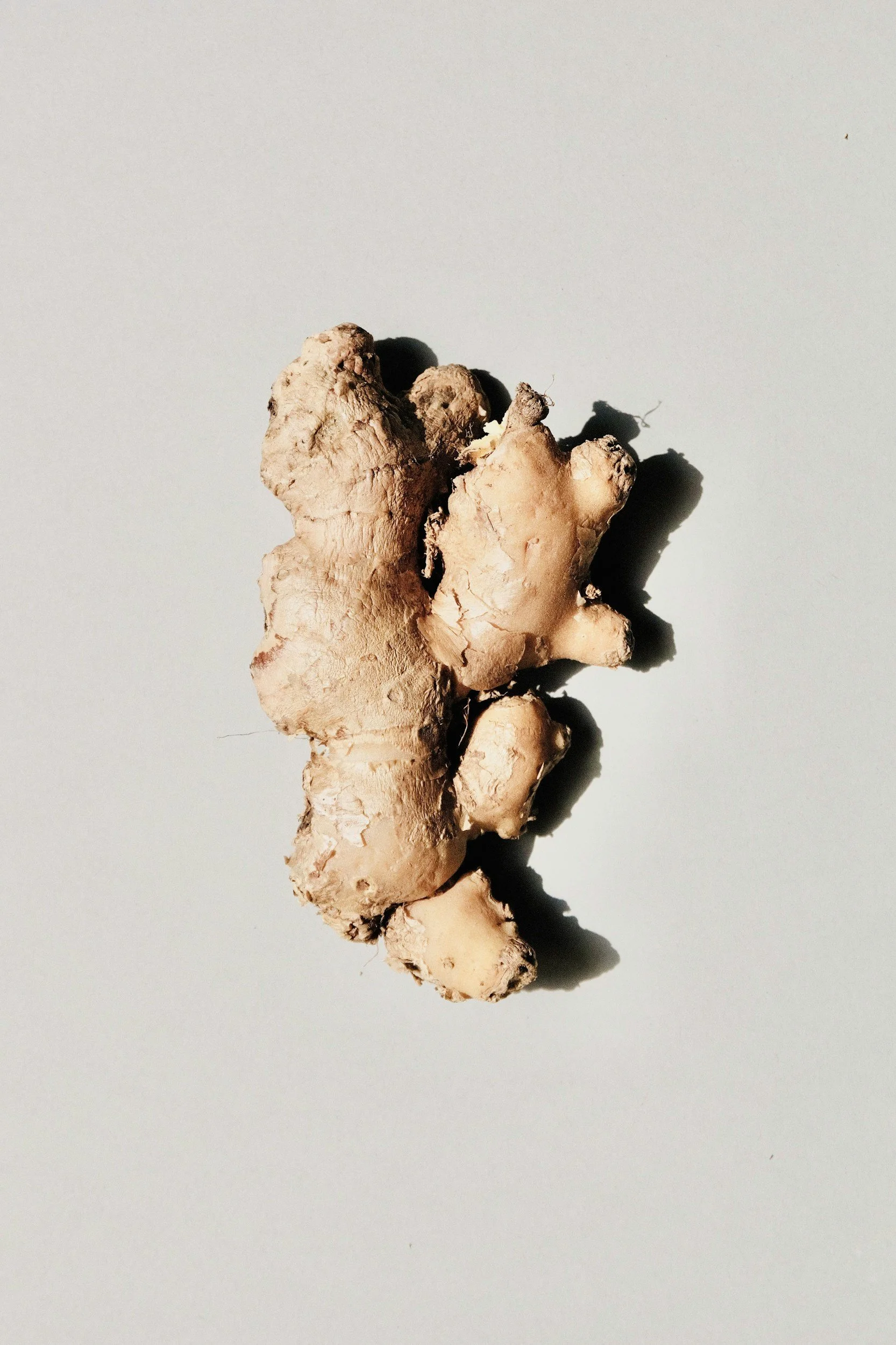 Fresh ginger root on a light background