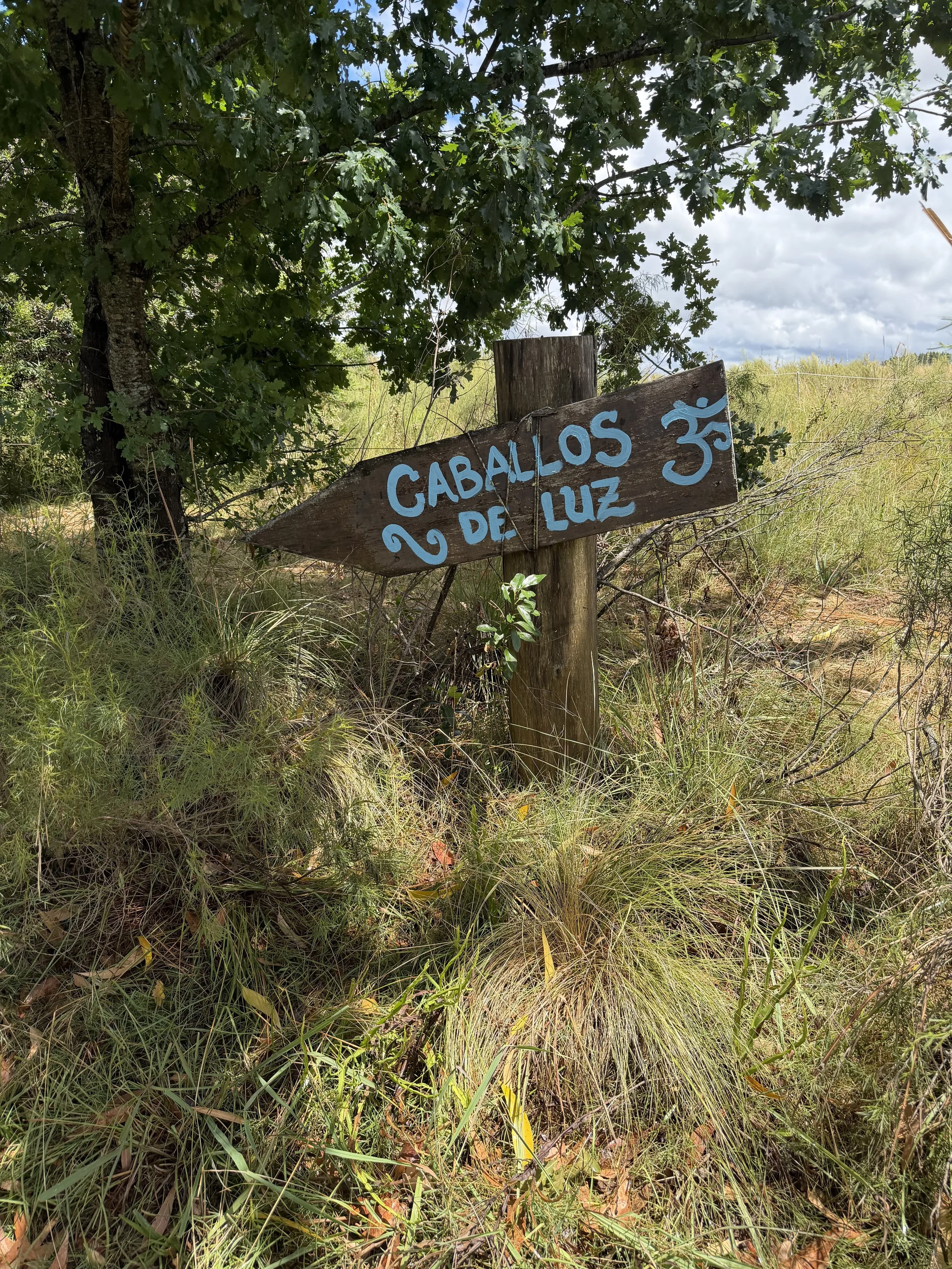 Caballos de Luz, Uruguay: Hospitality is Luxury