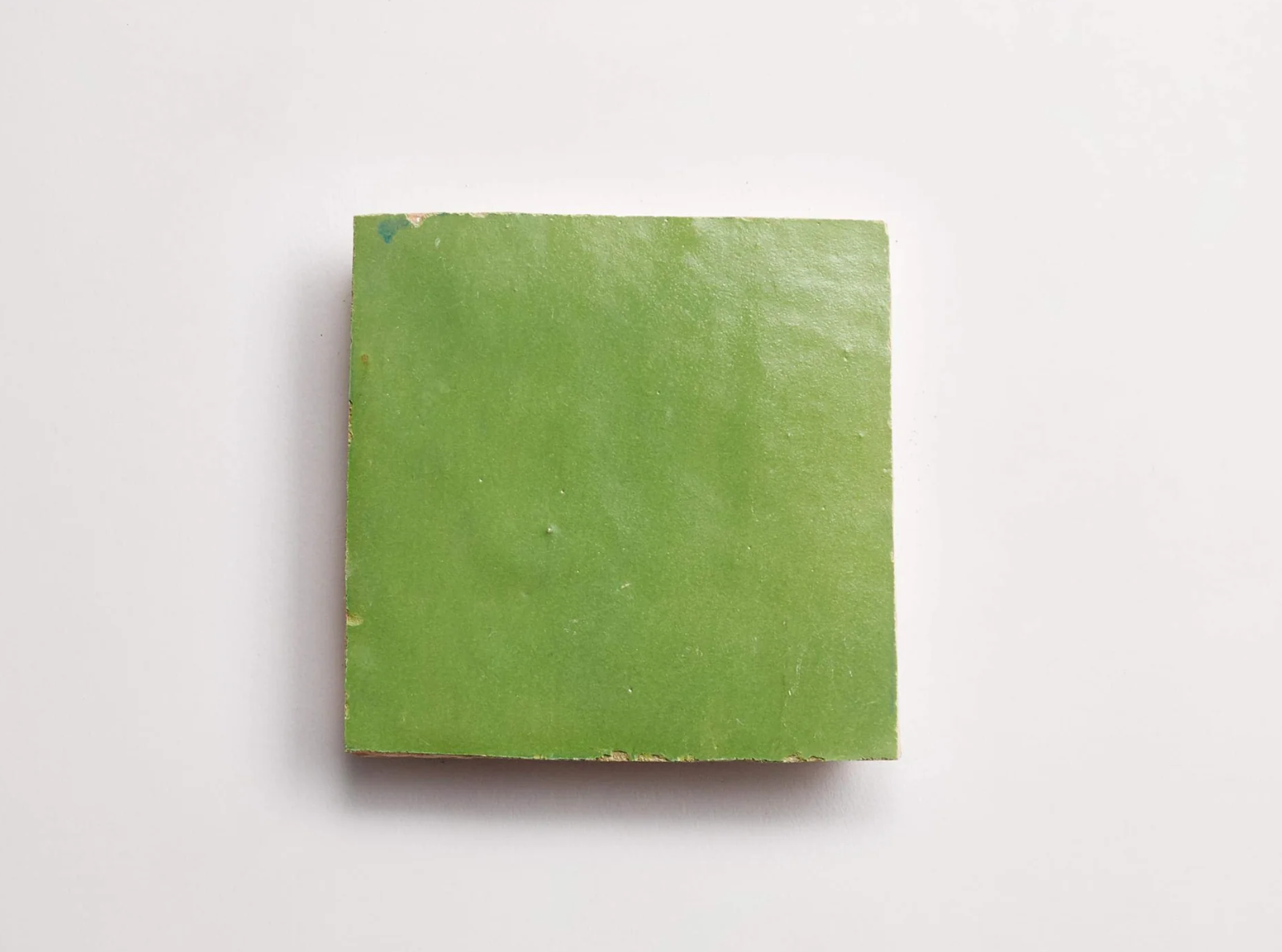 Zellige Tile- Fallen Citrus