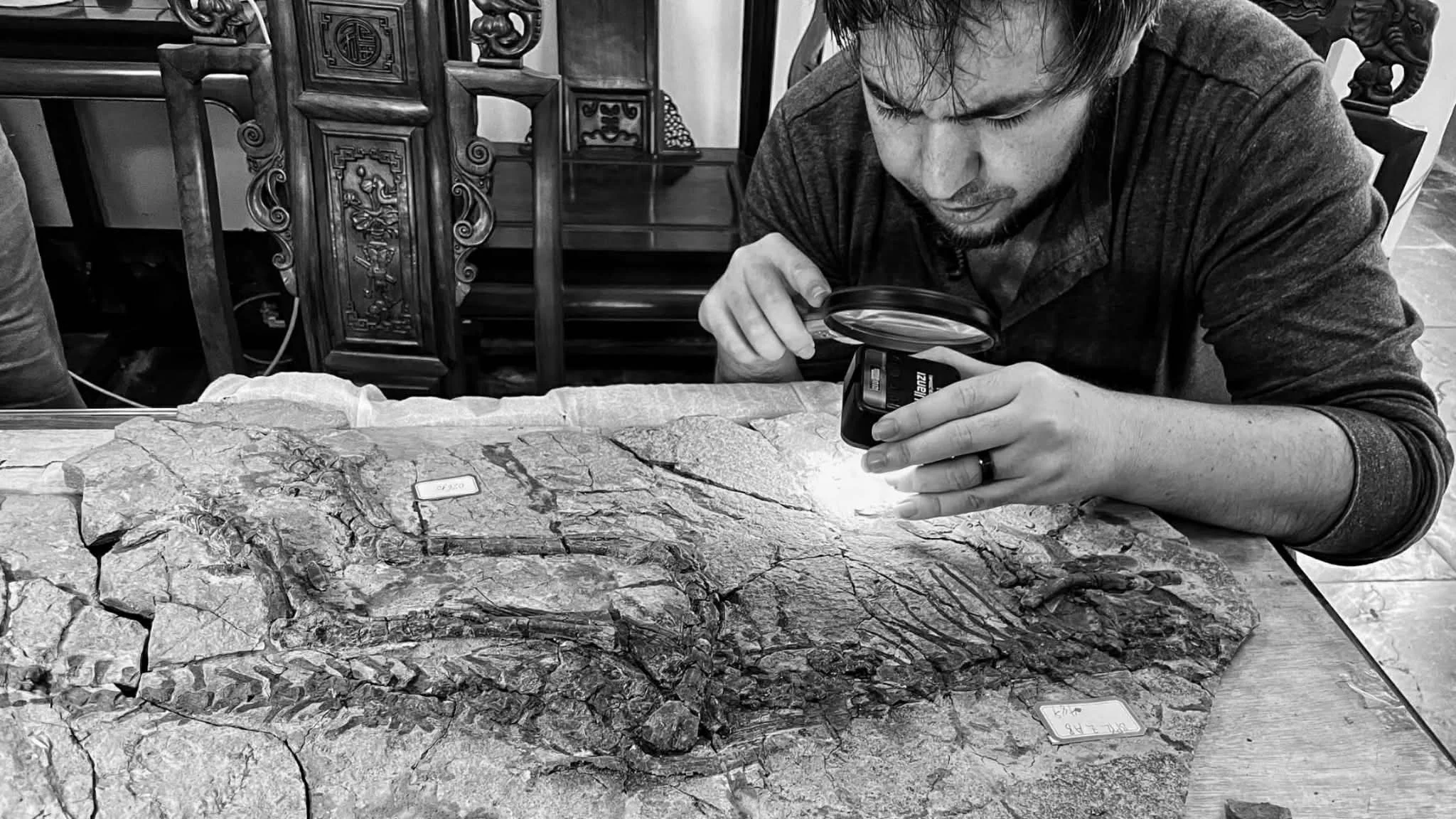 Paleontologist Logan King