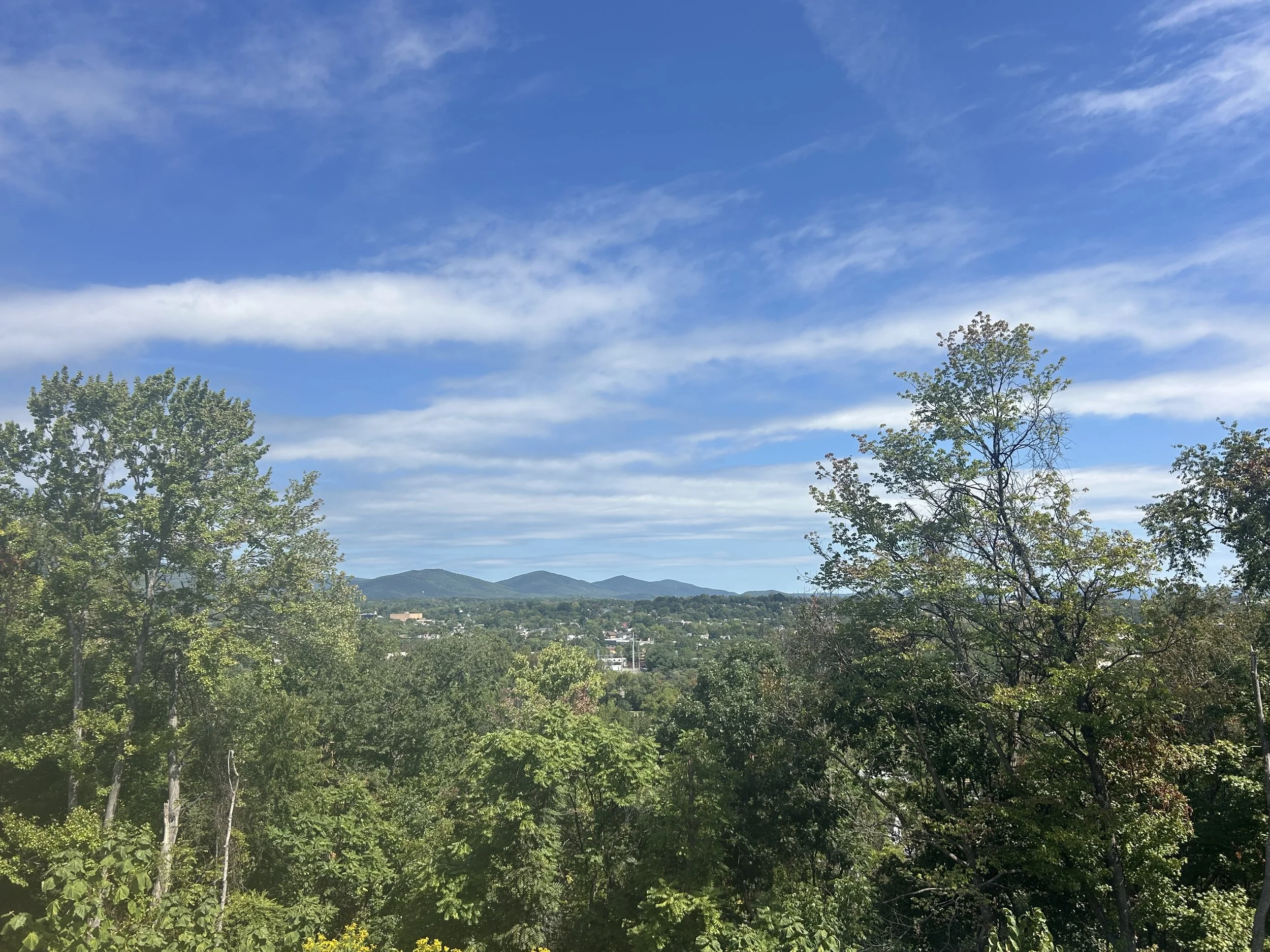 IMG_5671.jpeg