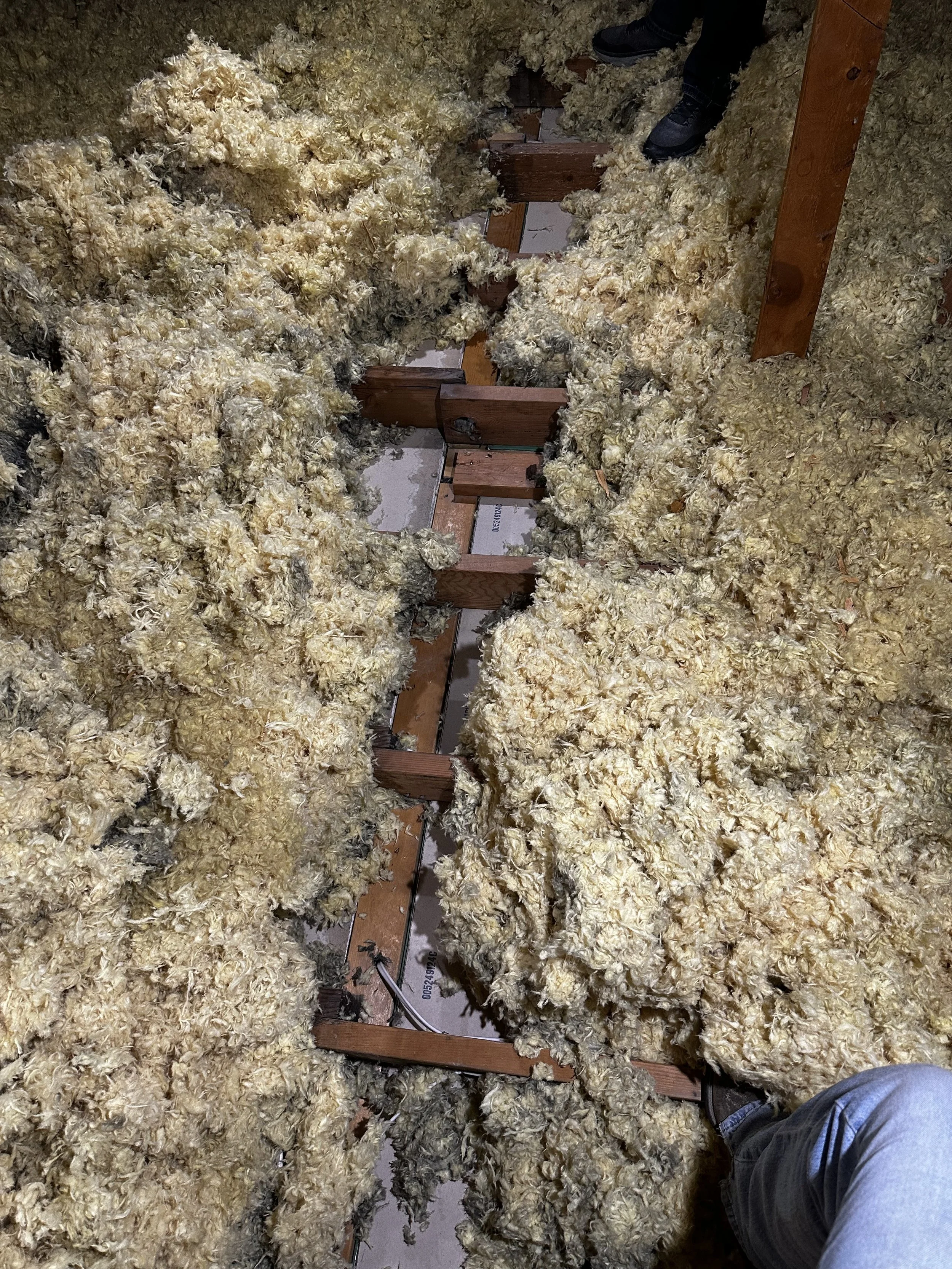 Insulation material installed between wooden wall studs in an unfinished wall.