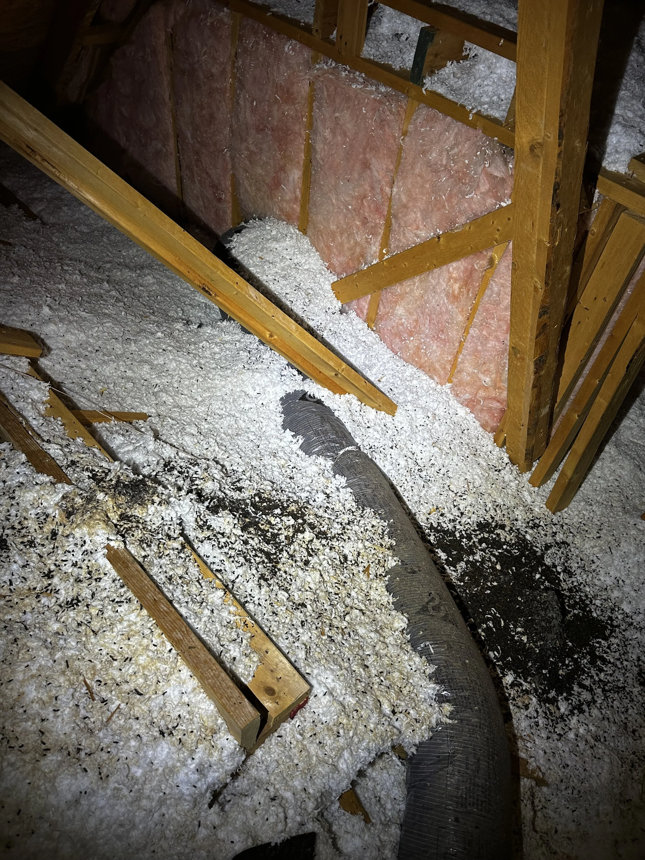 Indoor view of attic insulation with pink fiberglass insulation, wooden framing, a black duct, and spilled blown-in insulation on the floor.