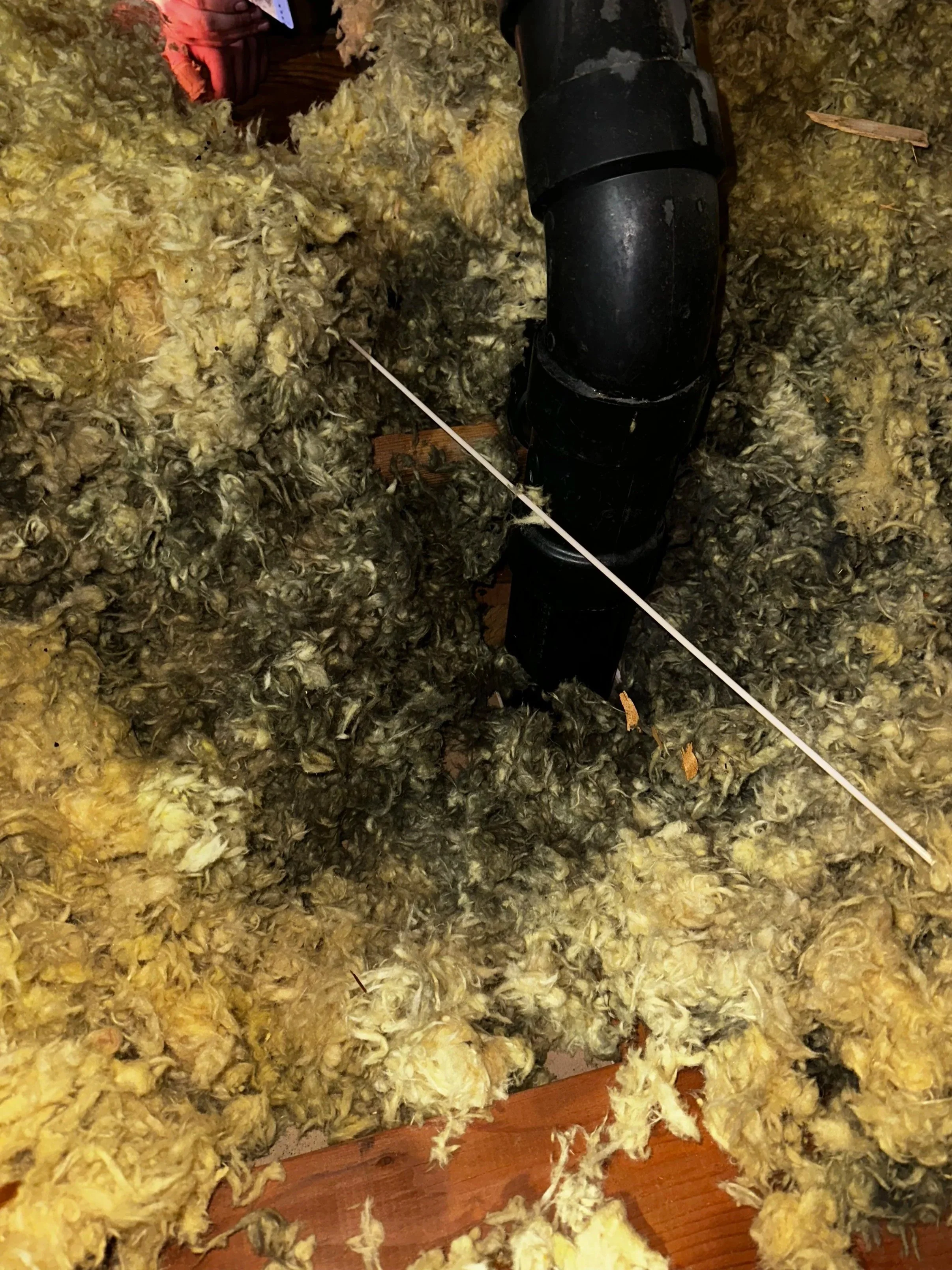 Black plumbing pipe running vertically through ceiling insulation, with a measuring tape extending across the insulation.