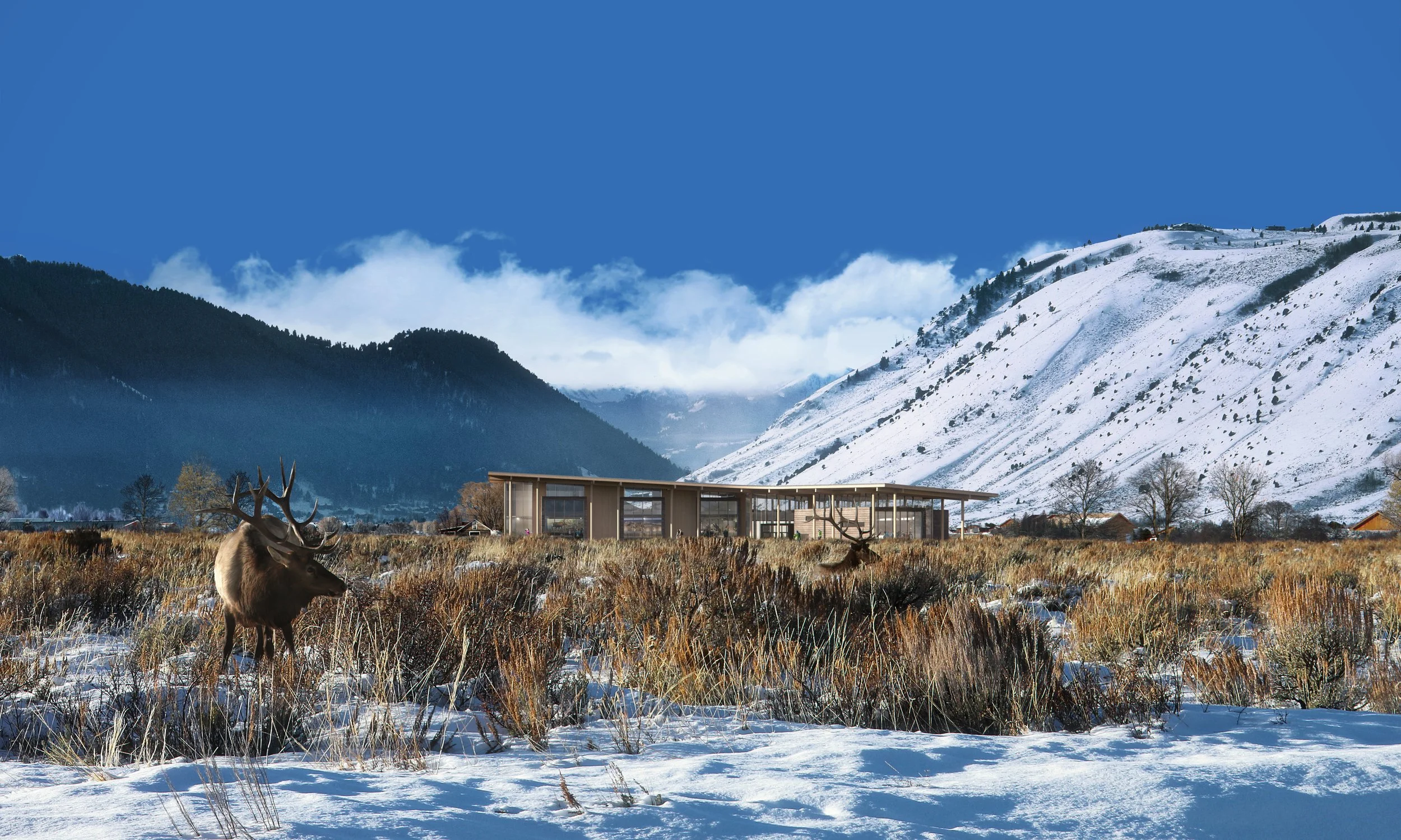 Elk Refuge_Frostwork_Plomp for Mithun.jpg