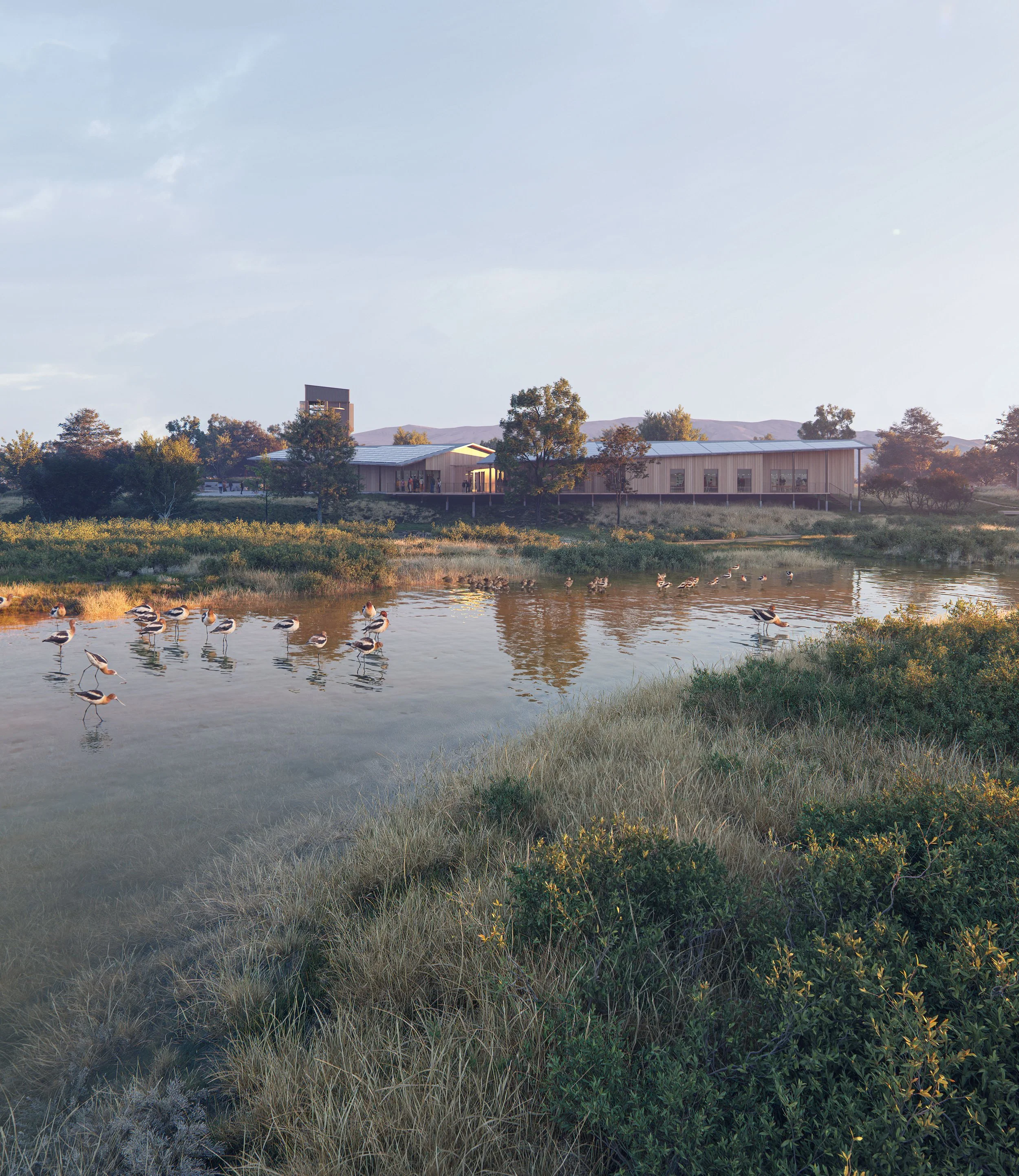 Don Edwards National Wildlife Refuge - Serenity_sm.jpg