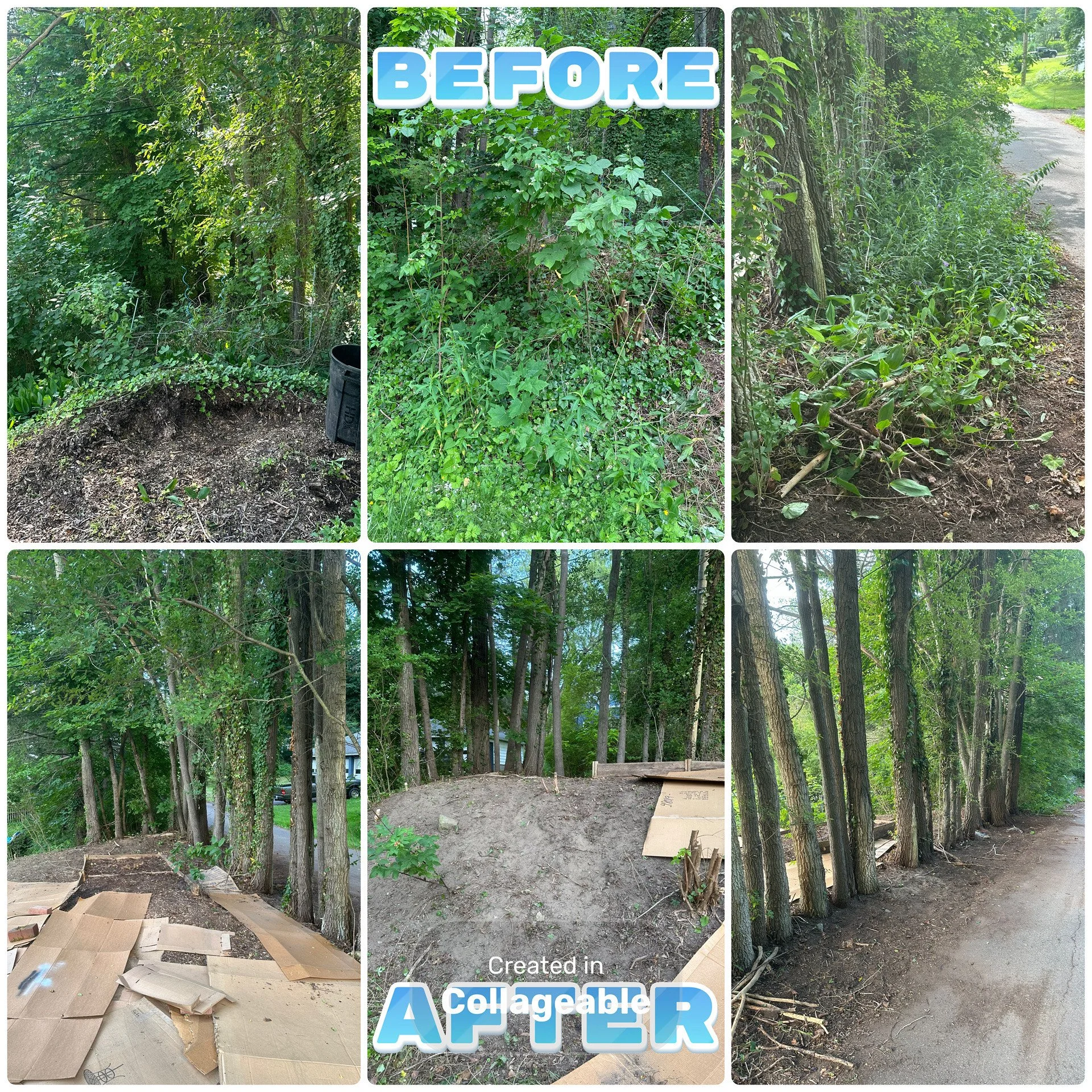 Matthew Blodgett before & after.jpeg