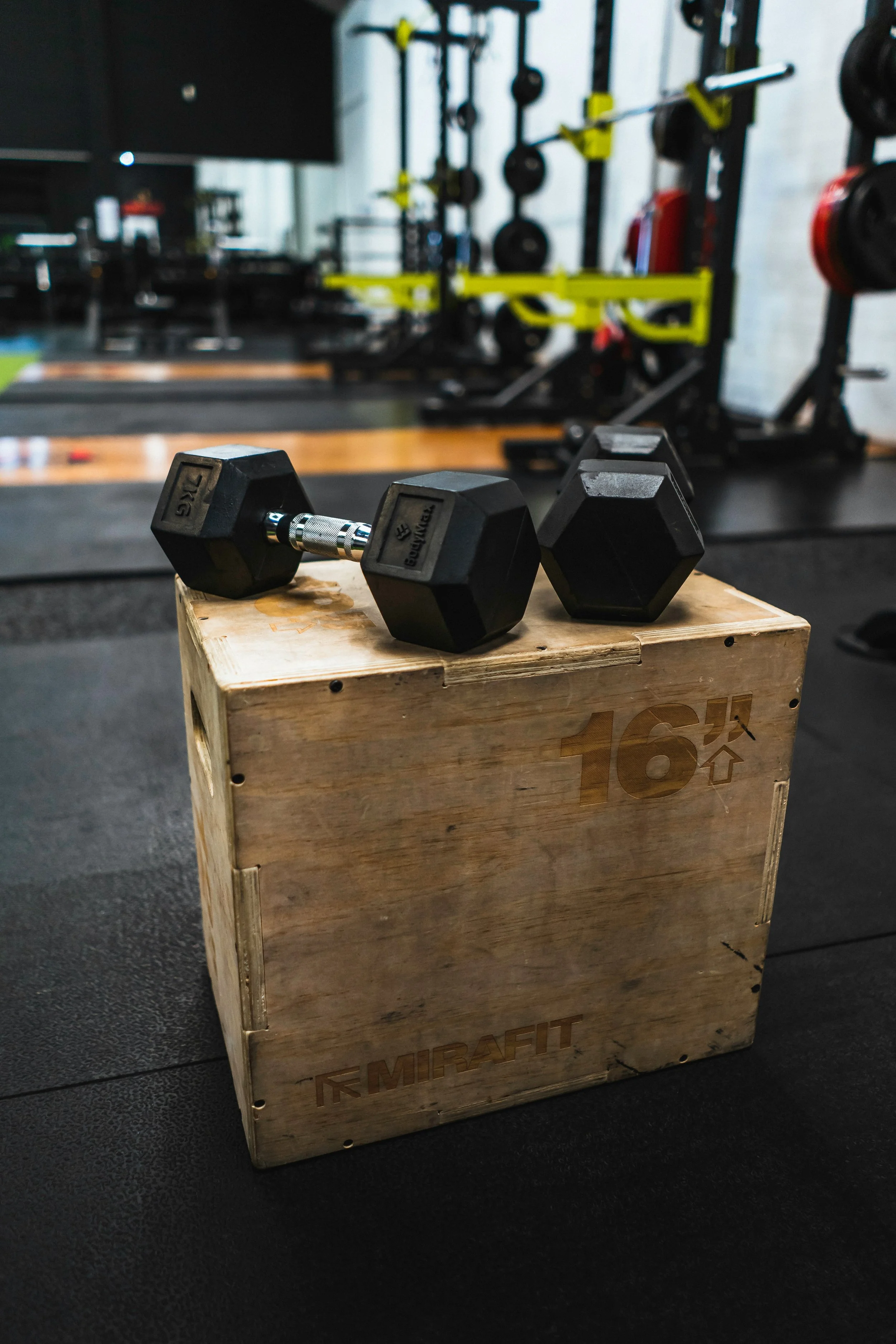 Muscle is Your Metabolism’s Best Friend