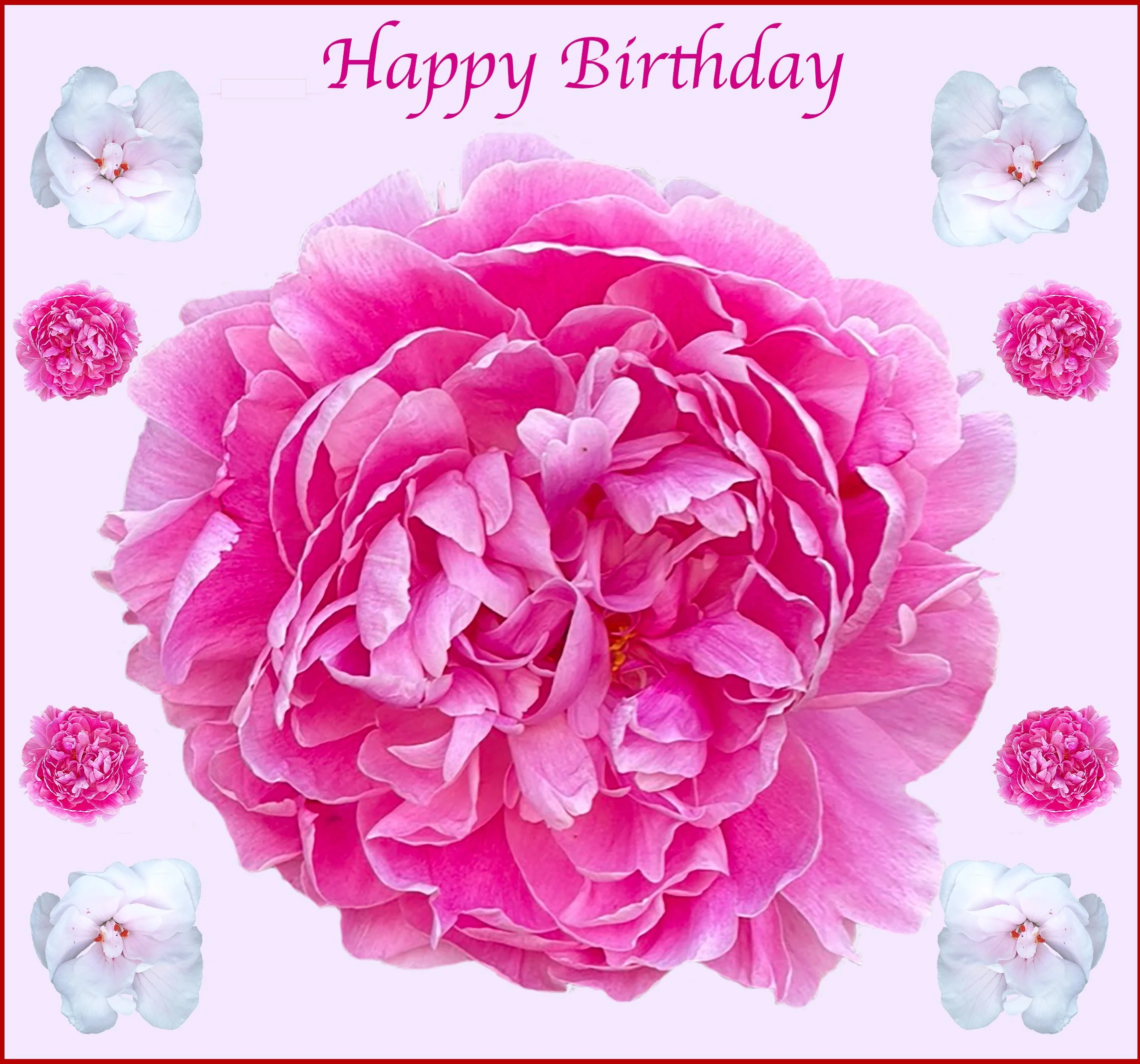 peonie_card.jpg