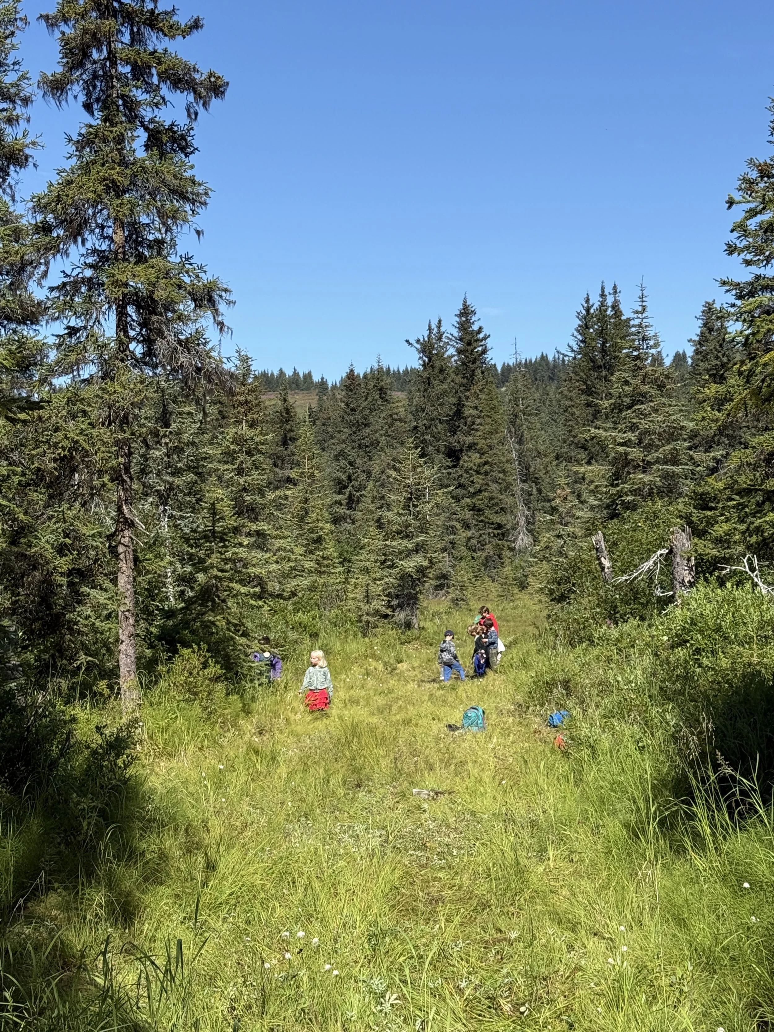 Copy of IMG_0427.JPG