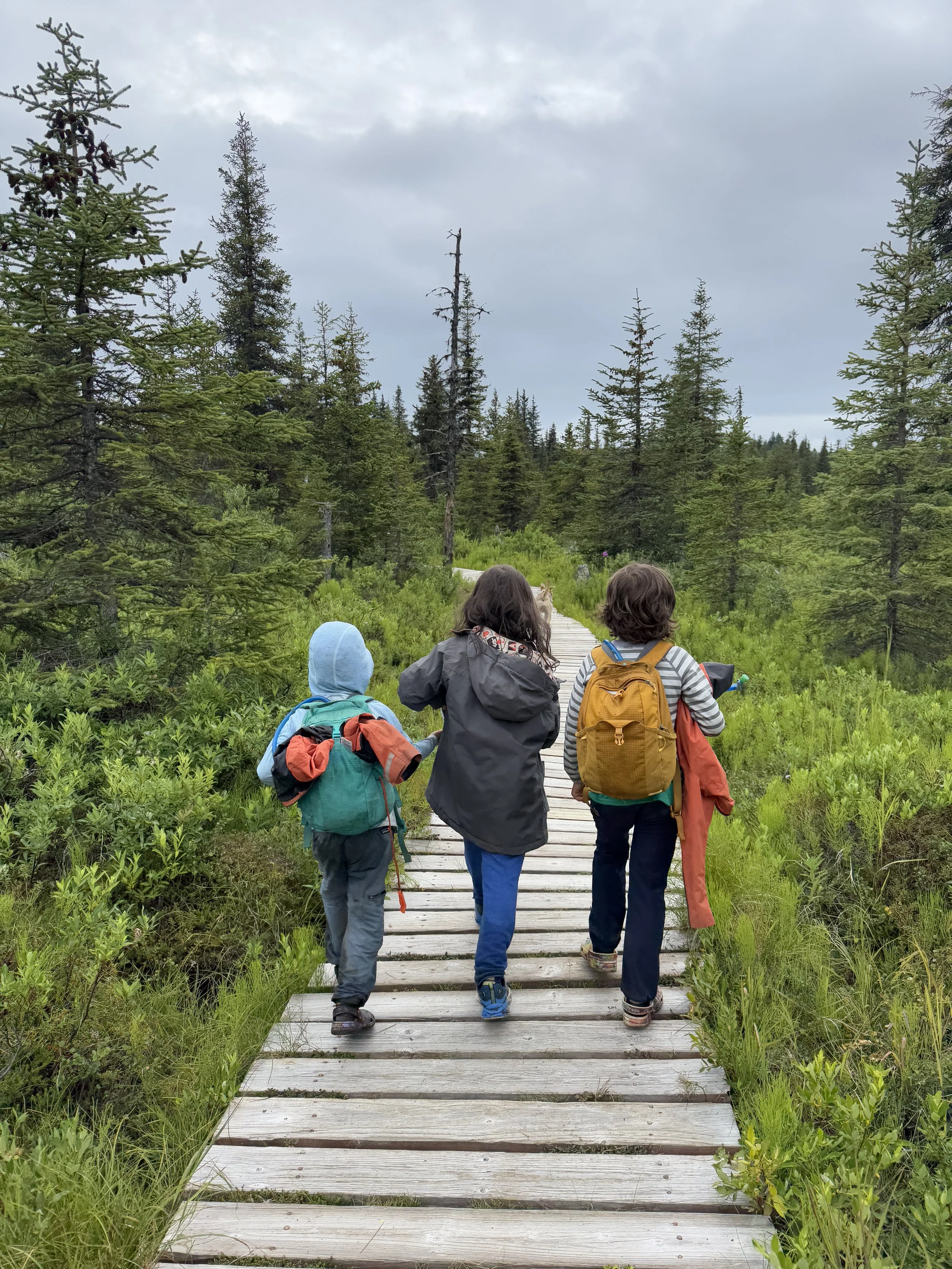 Copy of IMG_0028.JPG