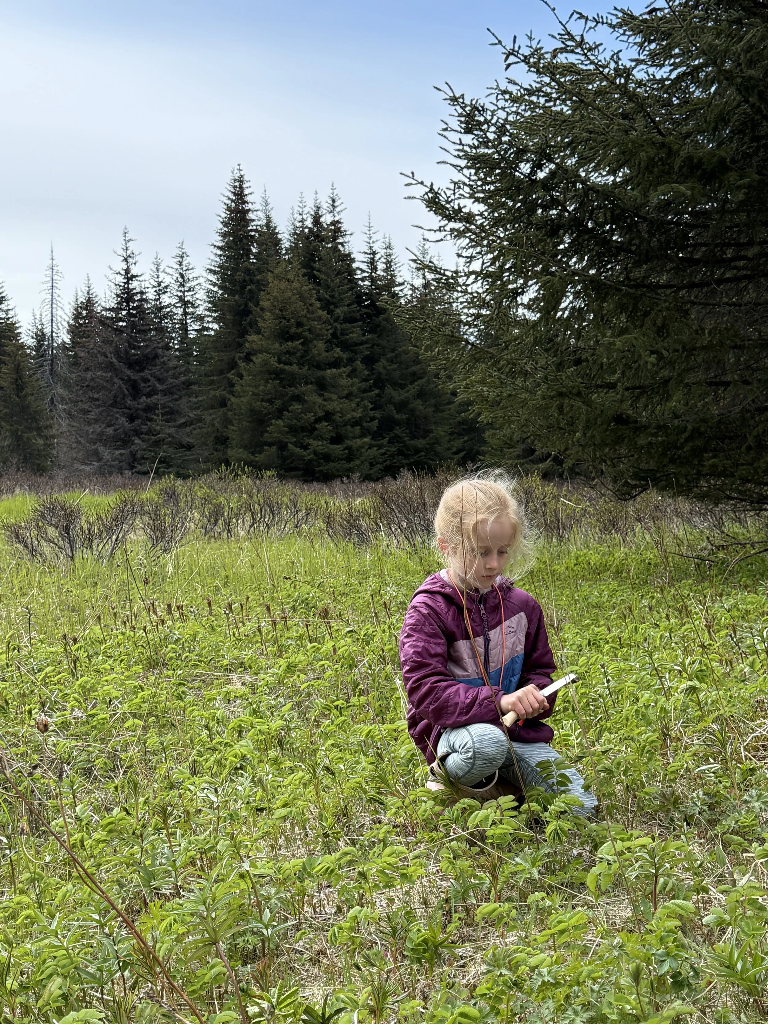 Copy of IMG_7579.JPG