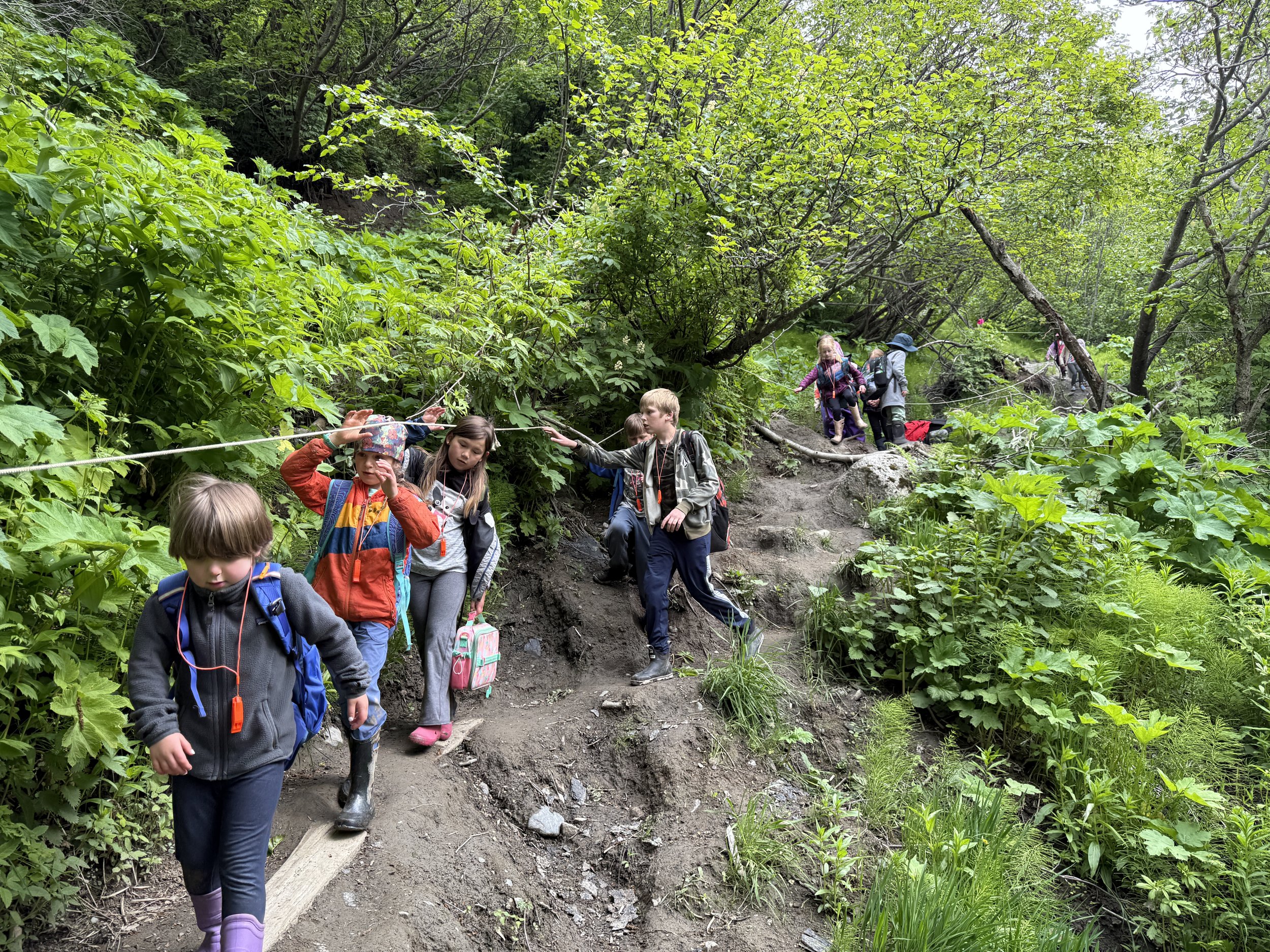 Copy of IMG_7907.JPG