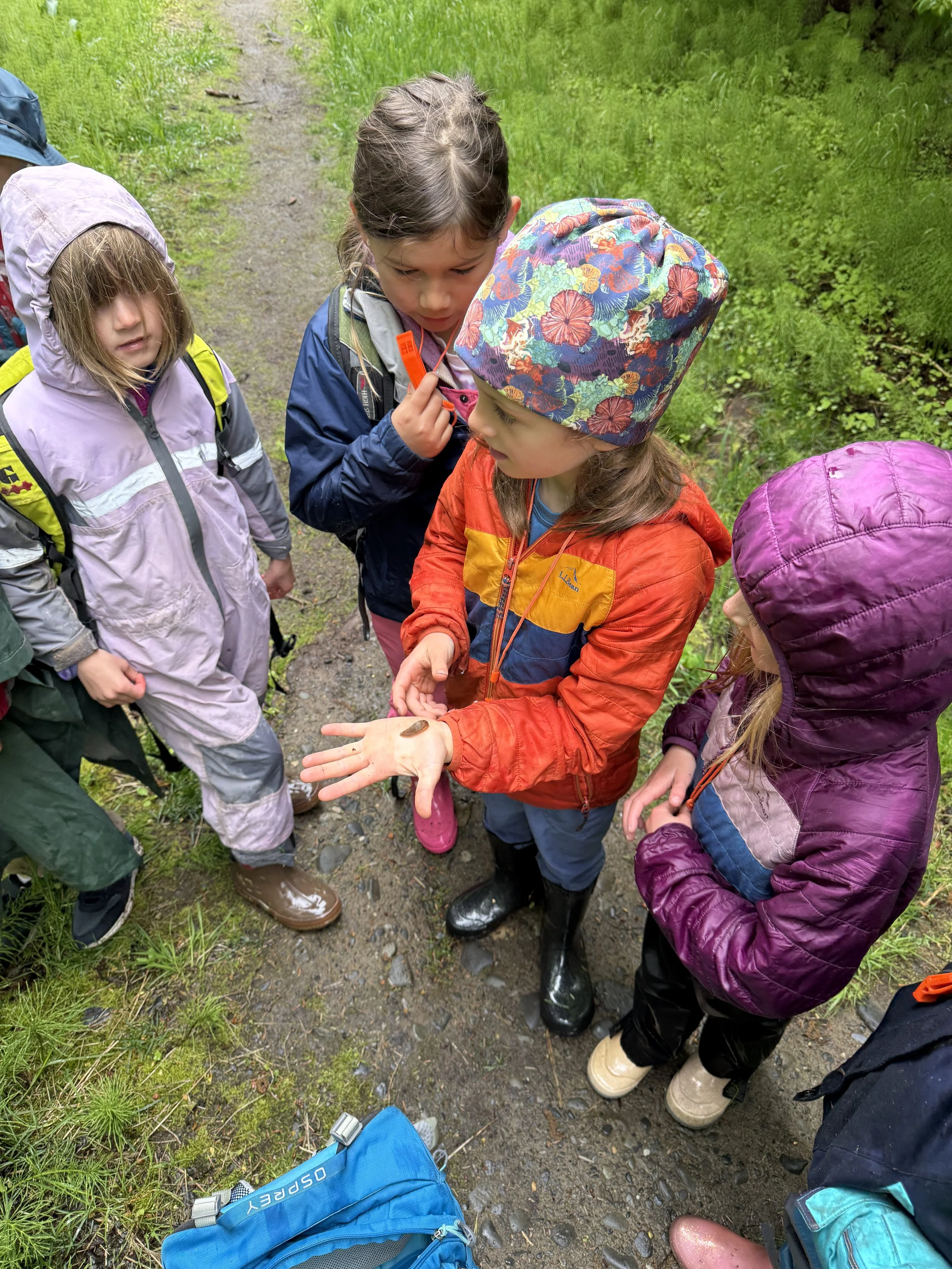 Copy of IMG_7718.JPG