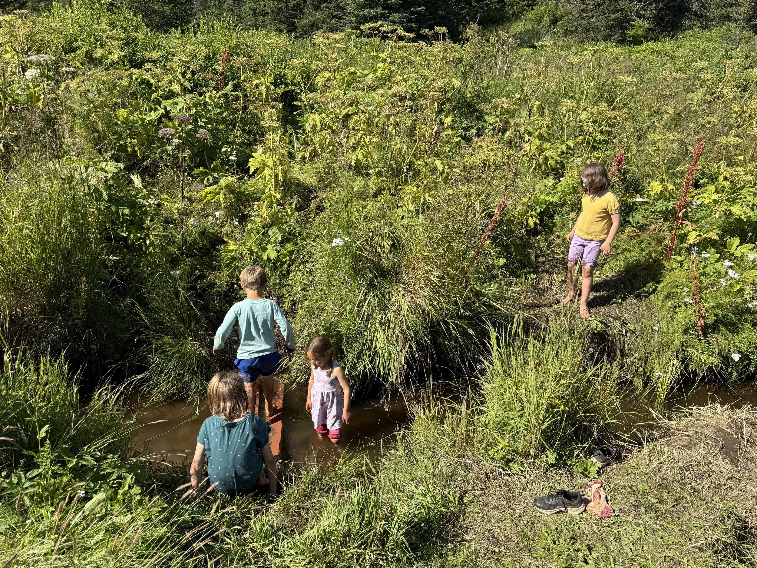 Copy of IMG_0452.JPG