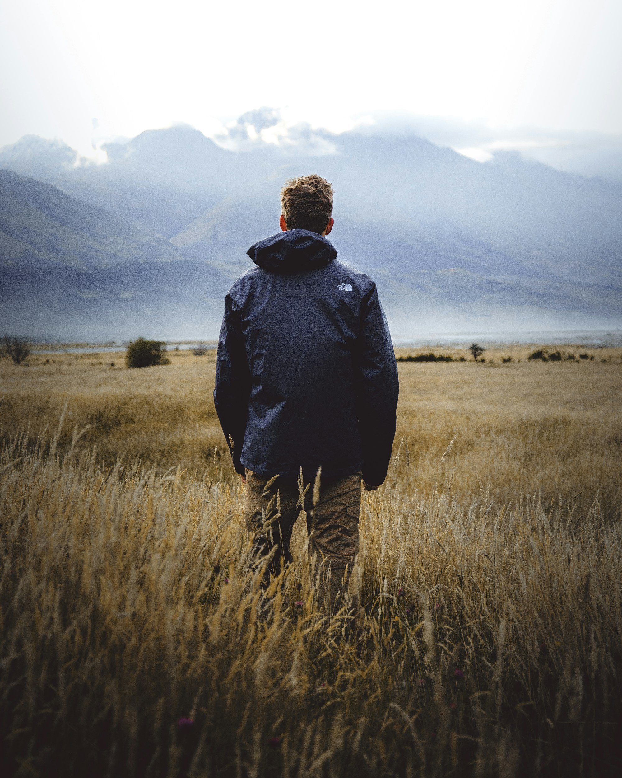 Person walking through a field towards mountains with cloudy sky.