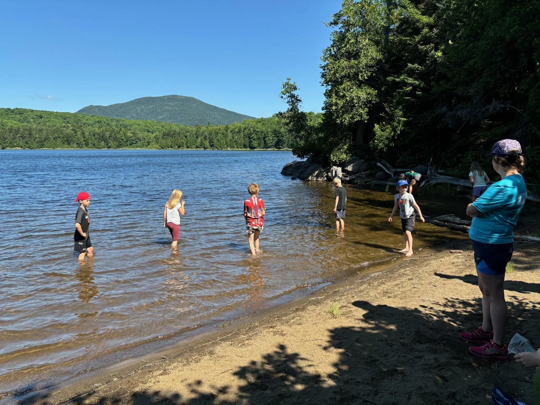 Maine Woods Explorers — Week 4