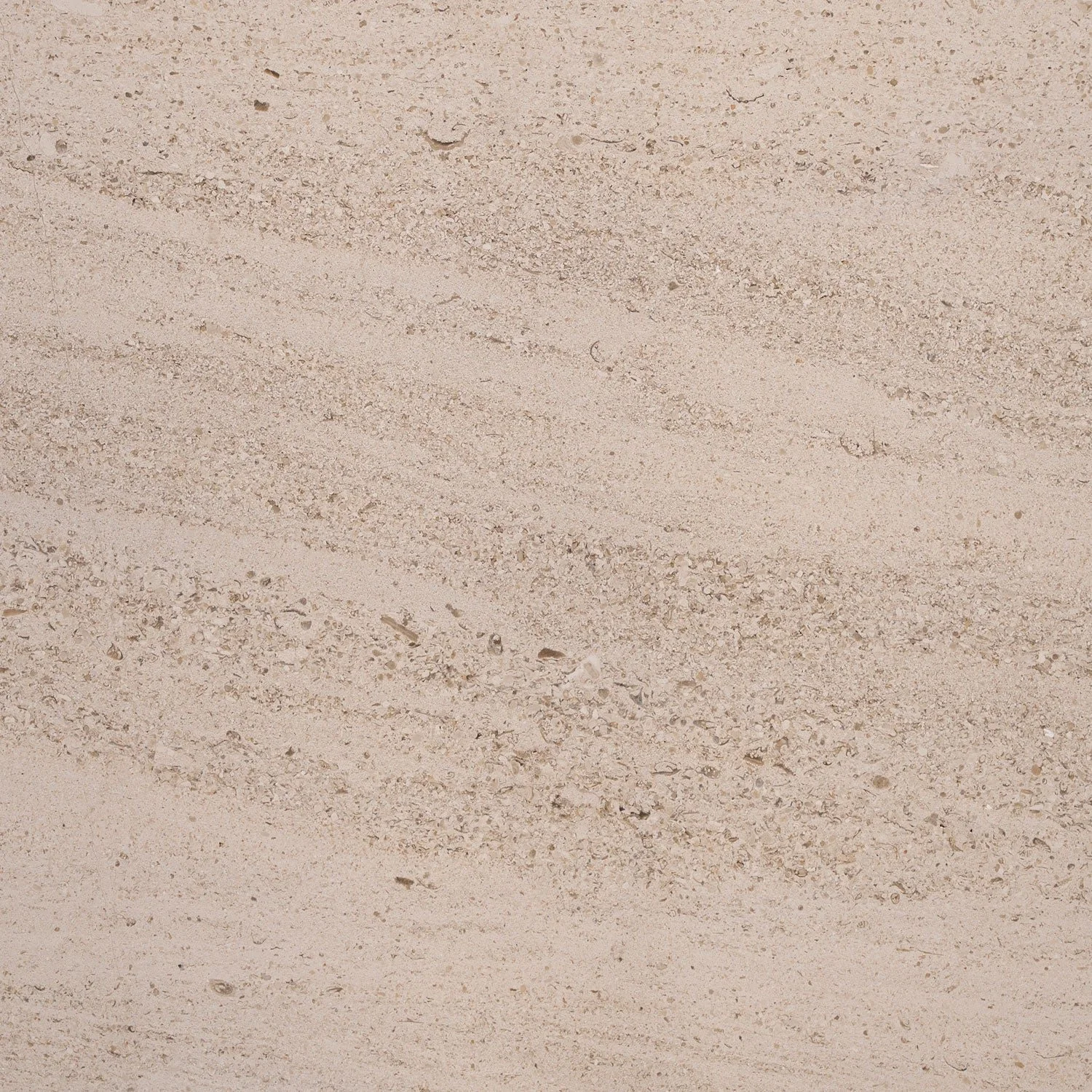 Moca Cream Limestone
